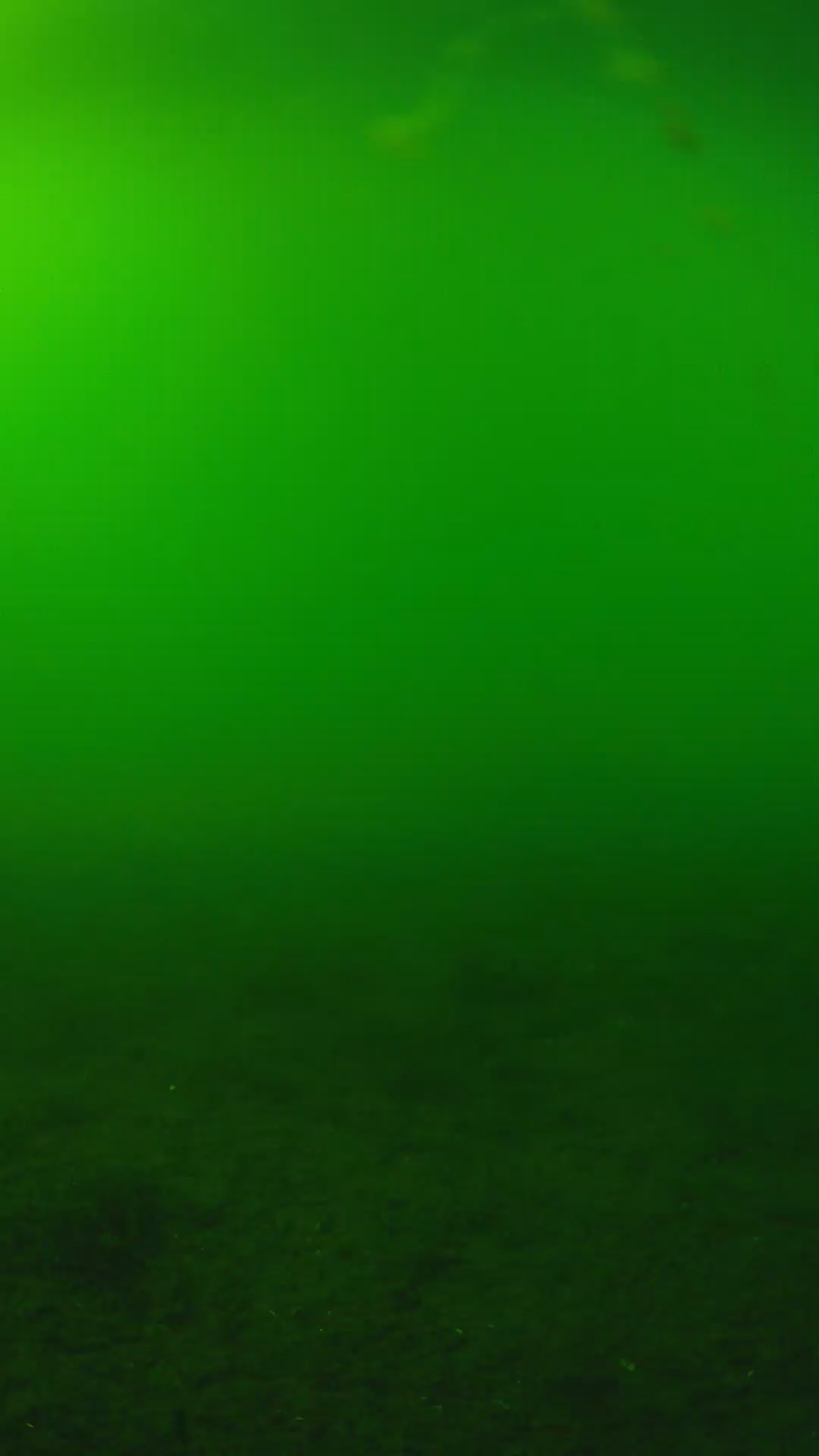 lander_ipcam_20240620160606.png