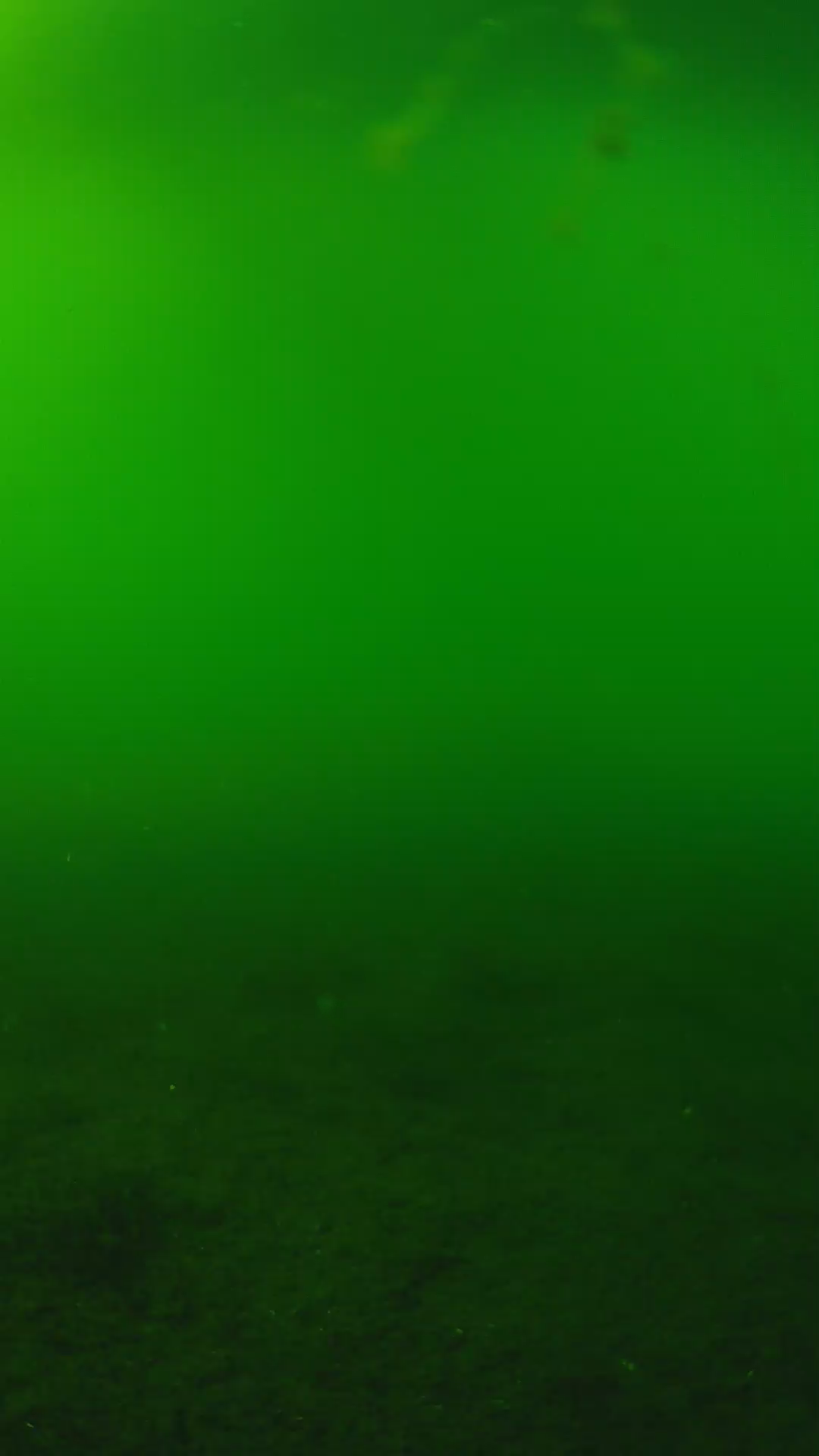 lander_ipcam_20240620163543.png