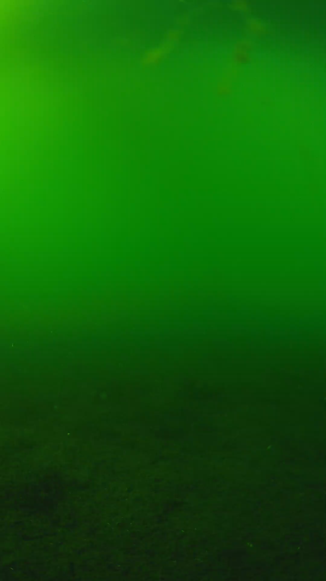 lander_ipcam_20240620163544.png