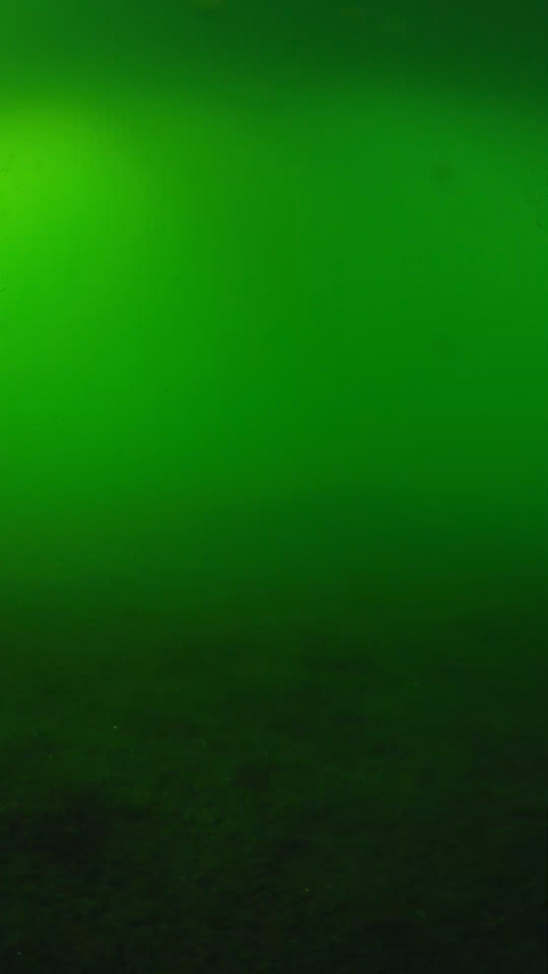 lander_ipcam_20240620170542.png