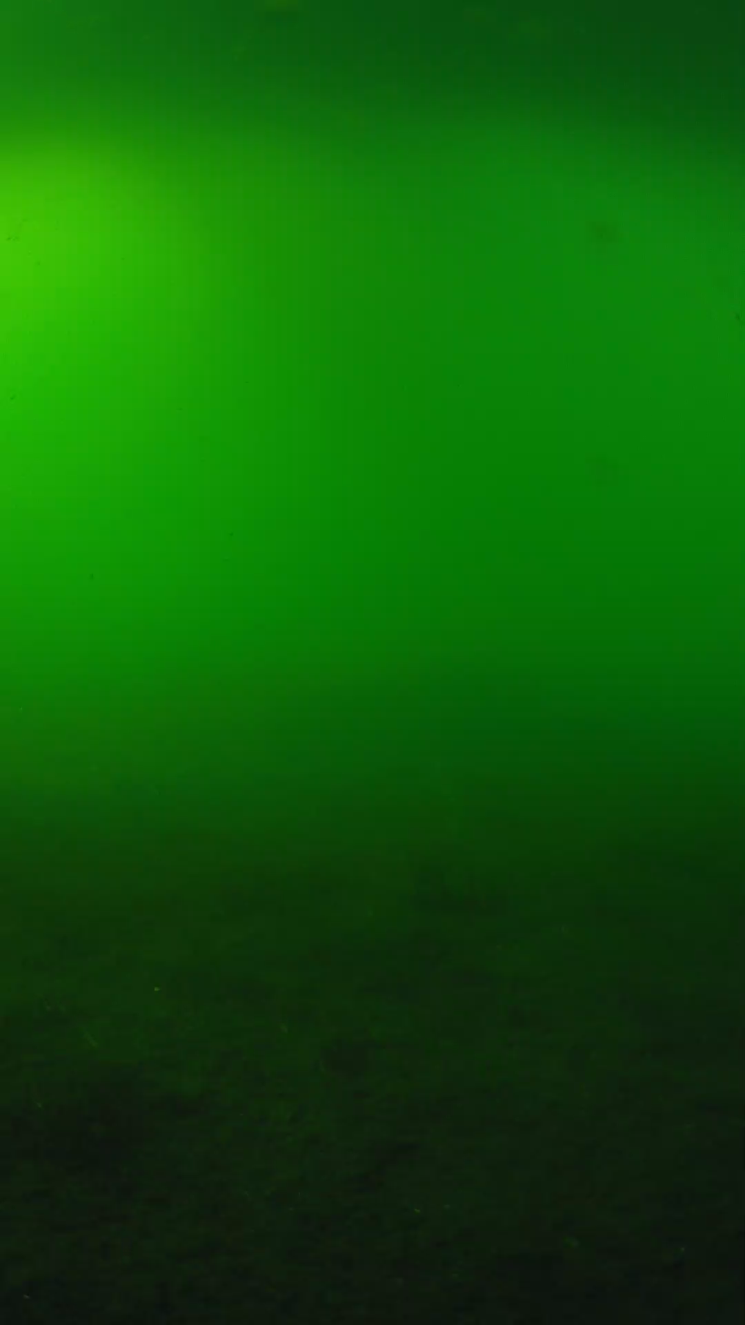 lander_ipcam_20240620170543.png