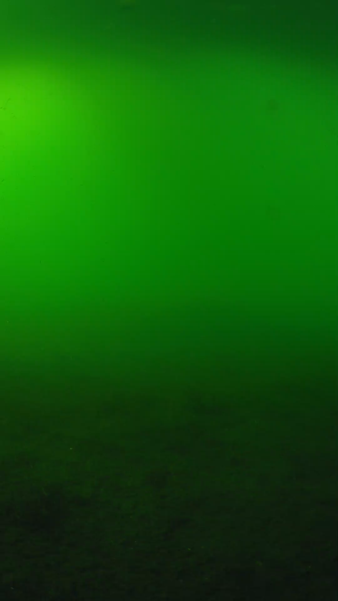 lander_ipcam_20240620170544.png