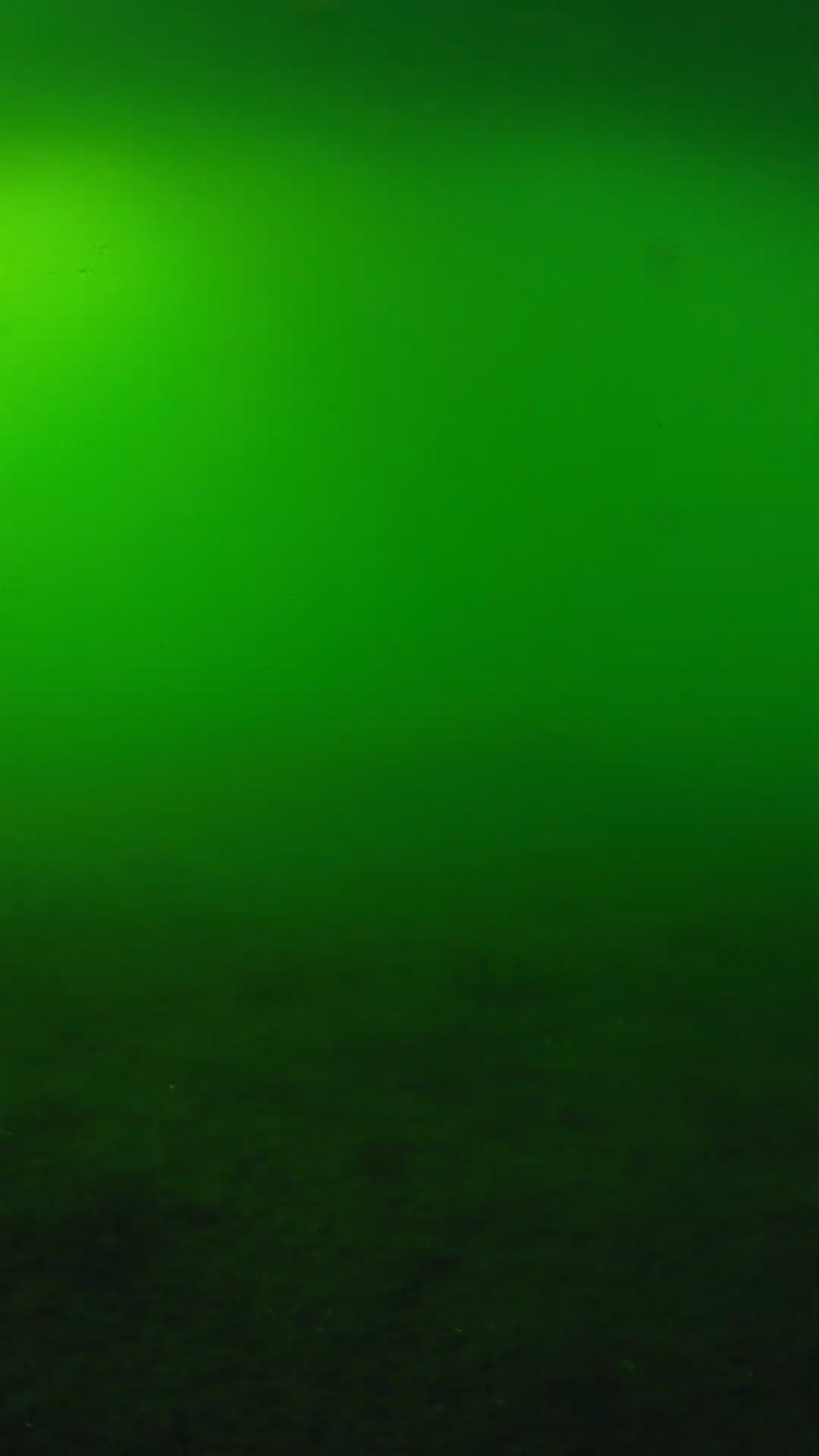 lander_ipcam_20240620170547.png