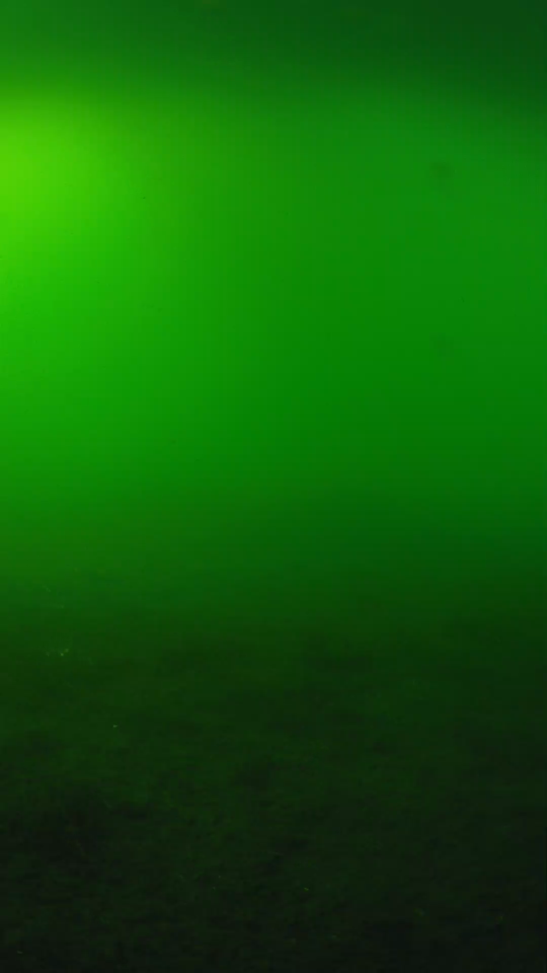 lander_ipcam_20240620170549.png