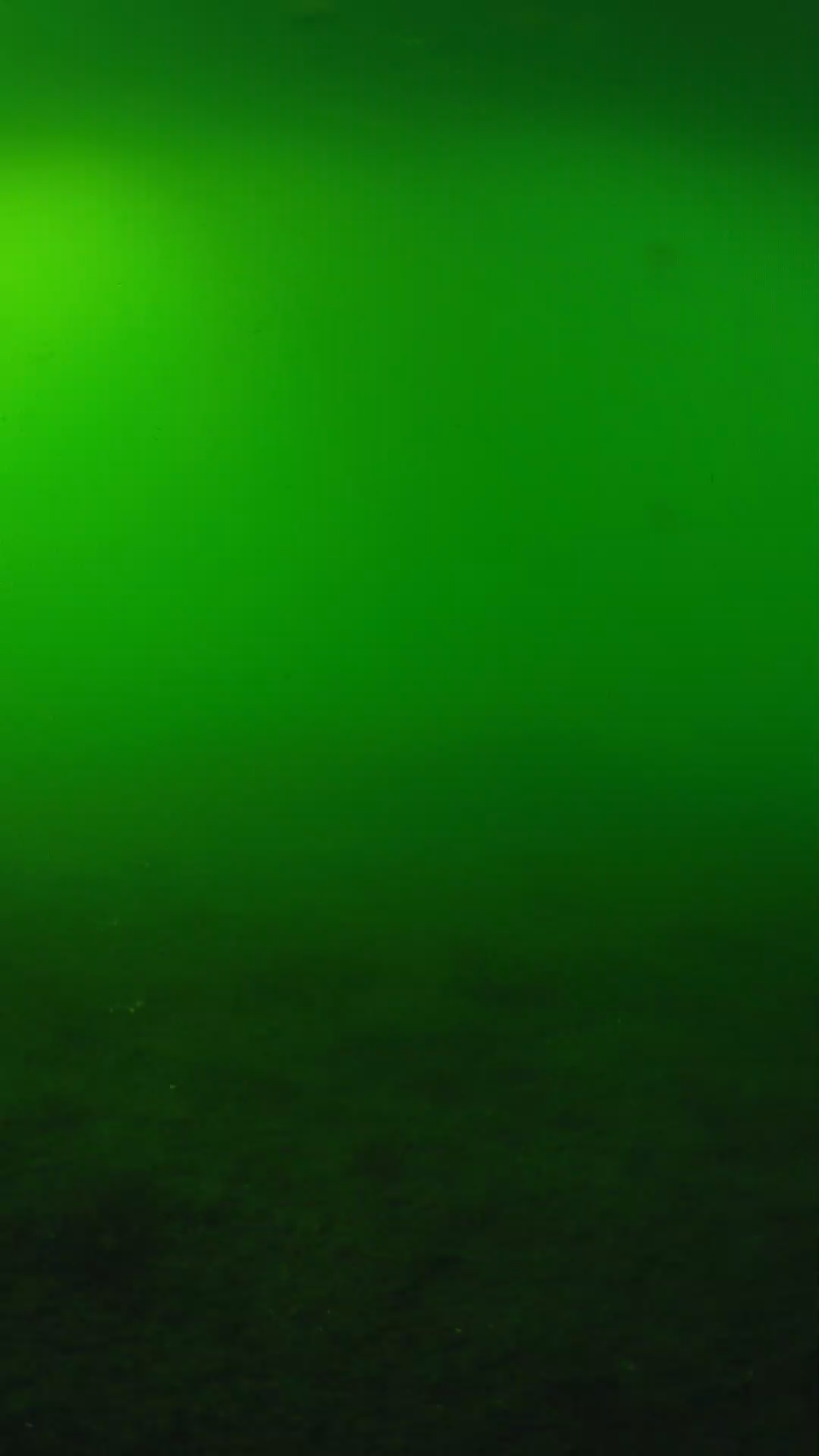 lander_ipcam_20240620170552.png