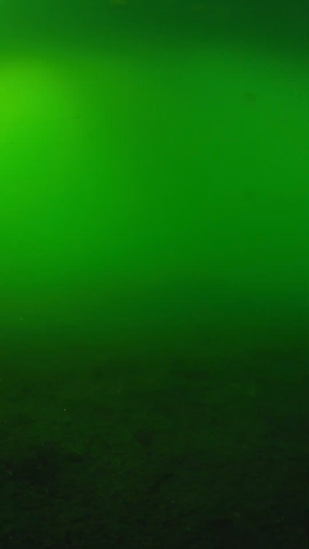 lander_ipcam_20240620170557.png