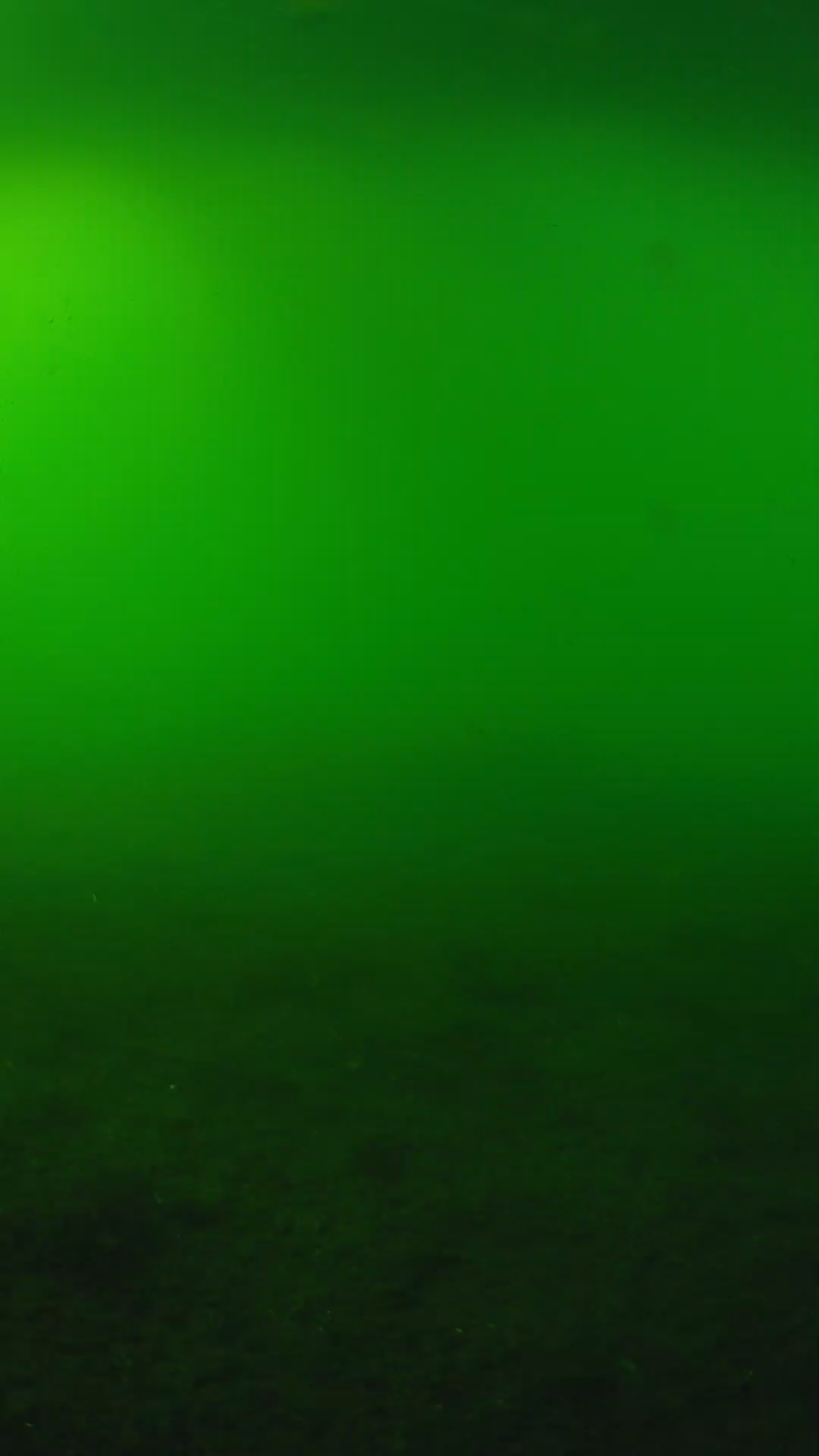lander_ipcam_20240620170559.png