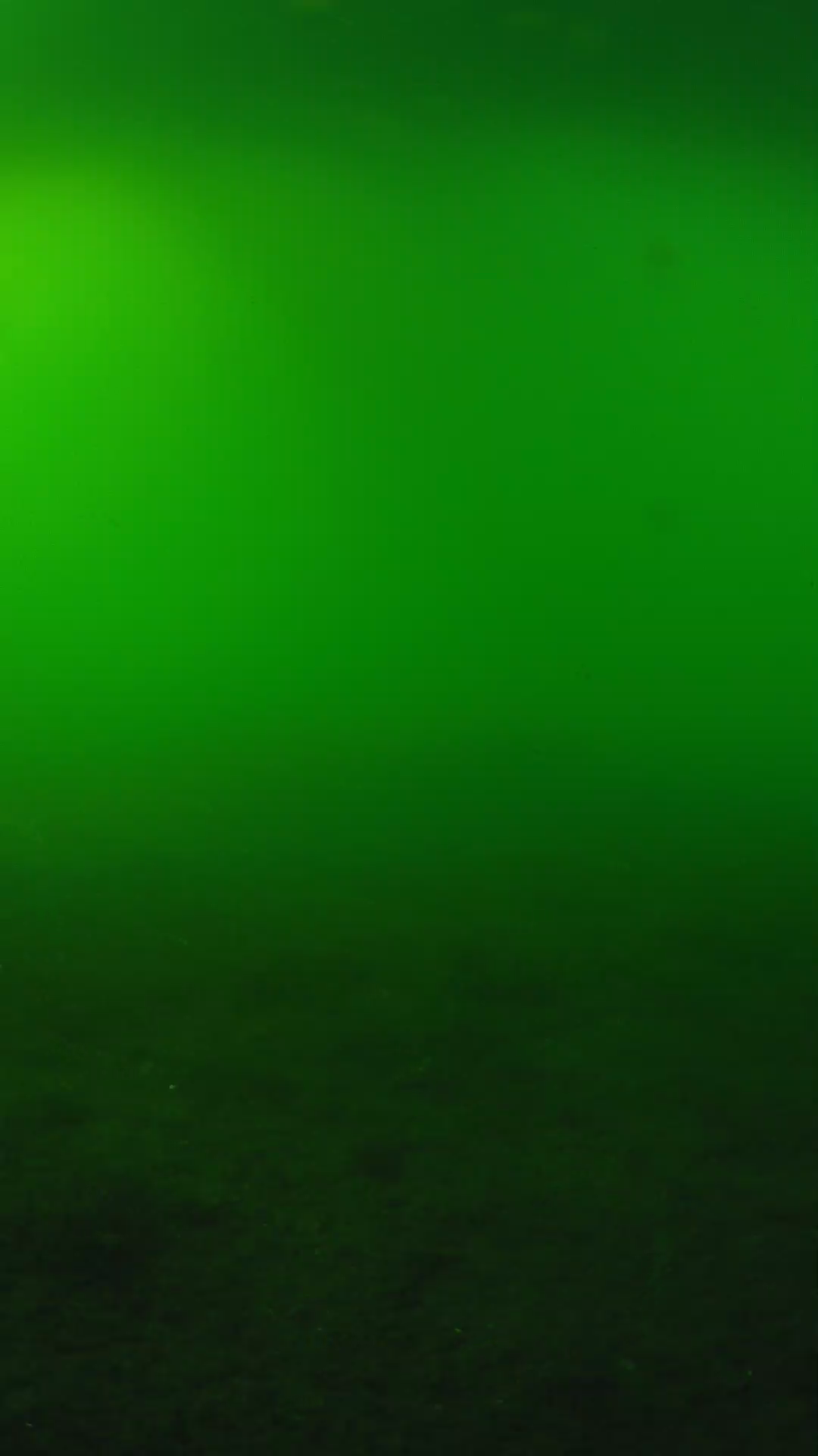 lander_ipcam_20240620170601.png