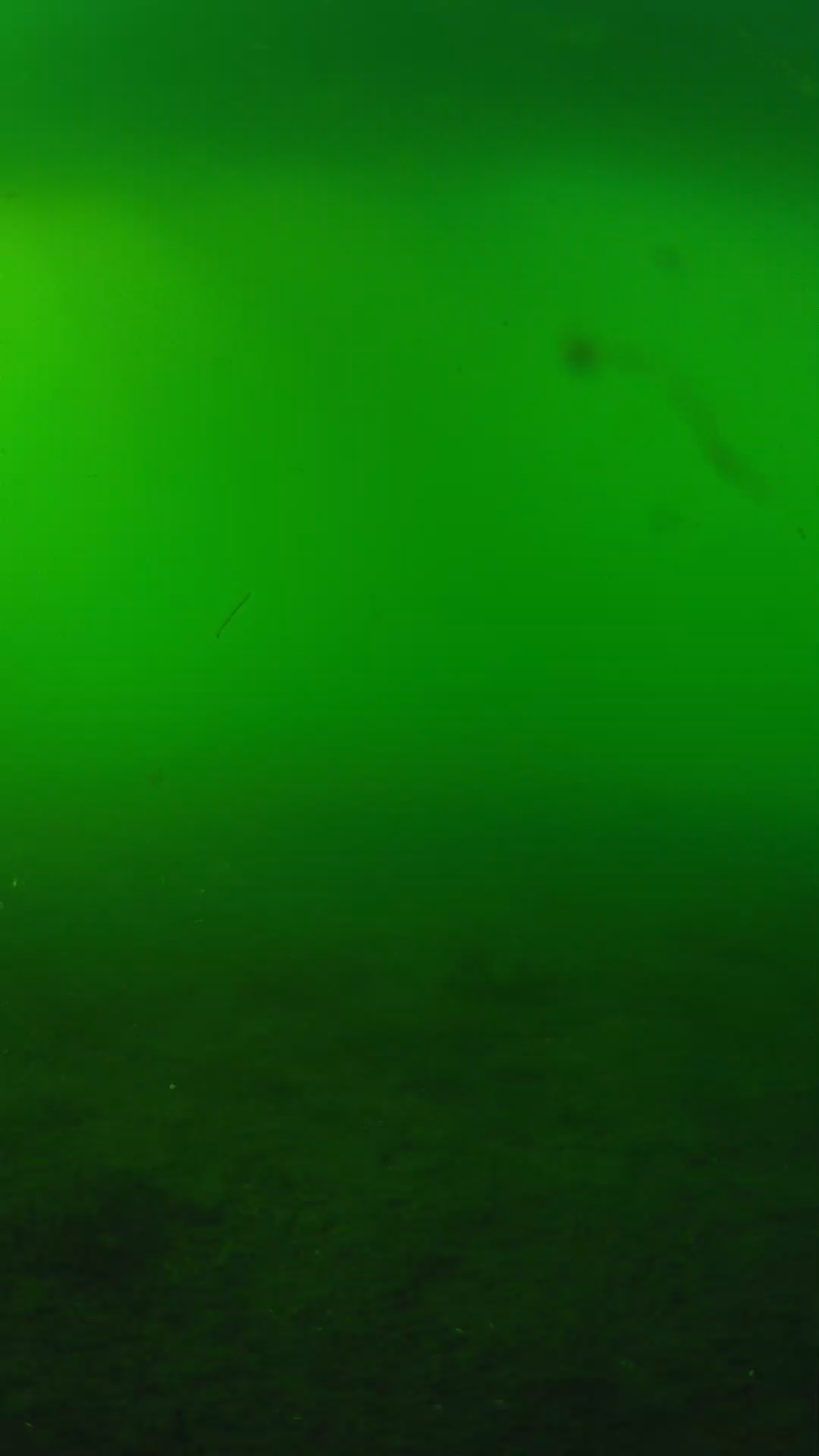 lander_ipcam_20240620173542.png