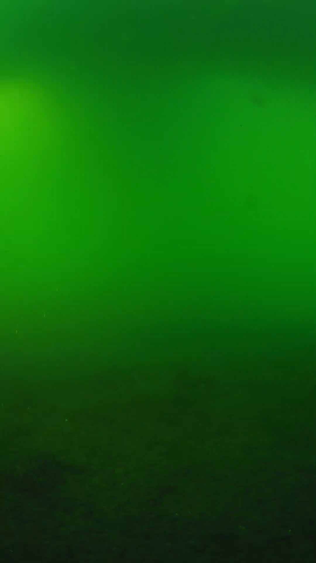 lander_ipcam_20240620180542.png