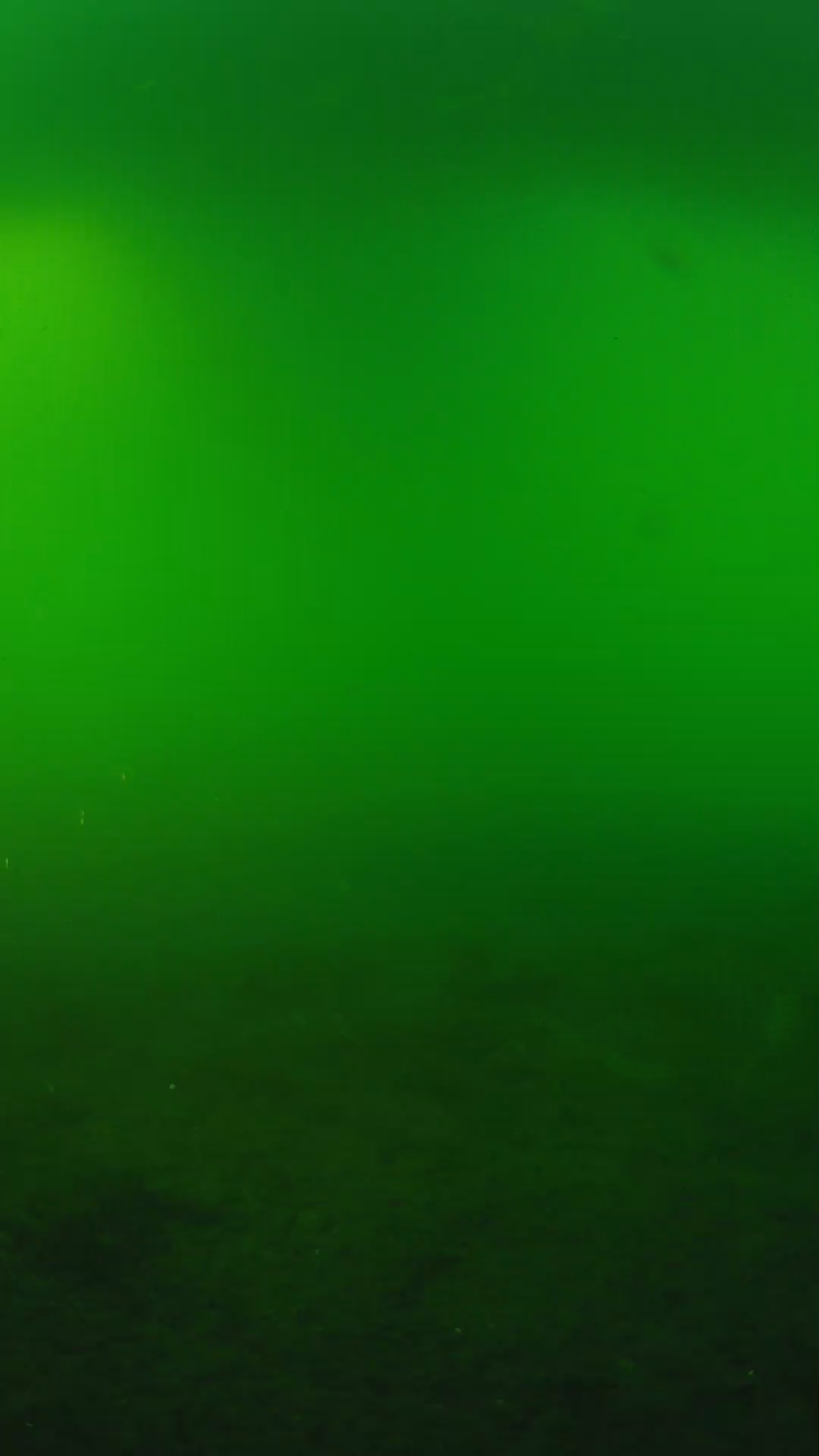 lander_ipcam_20240620180544.png