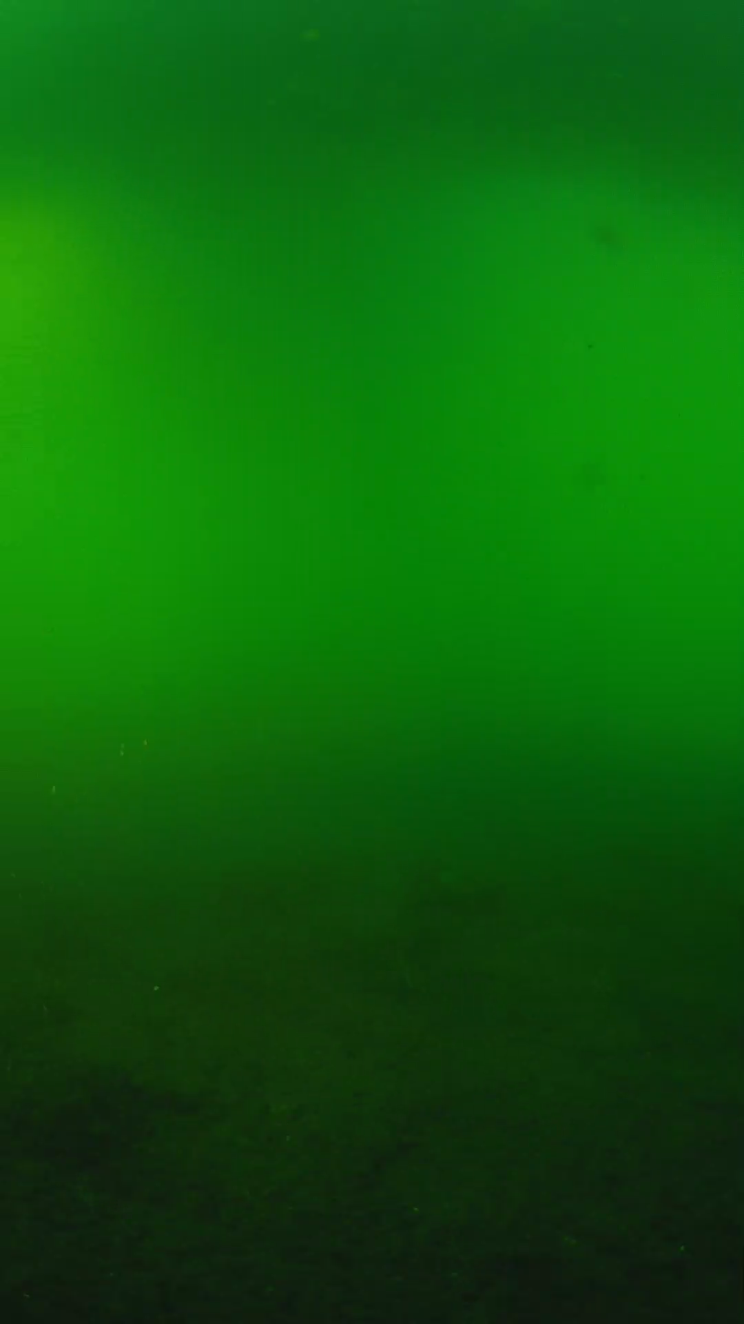 lander_ipcam_20240620180547.png