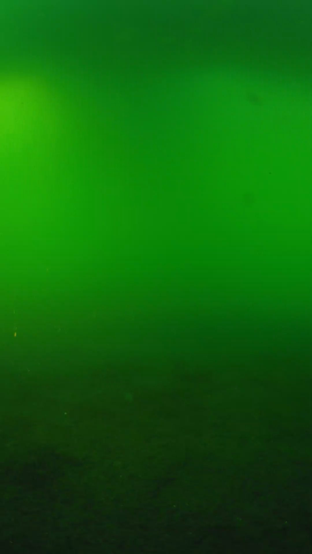 lander_ipcam_20240620180553.png