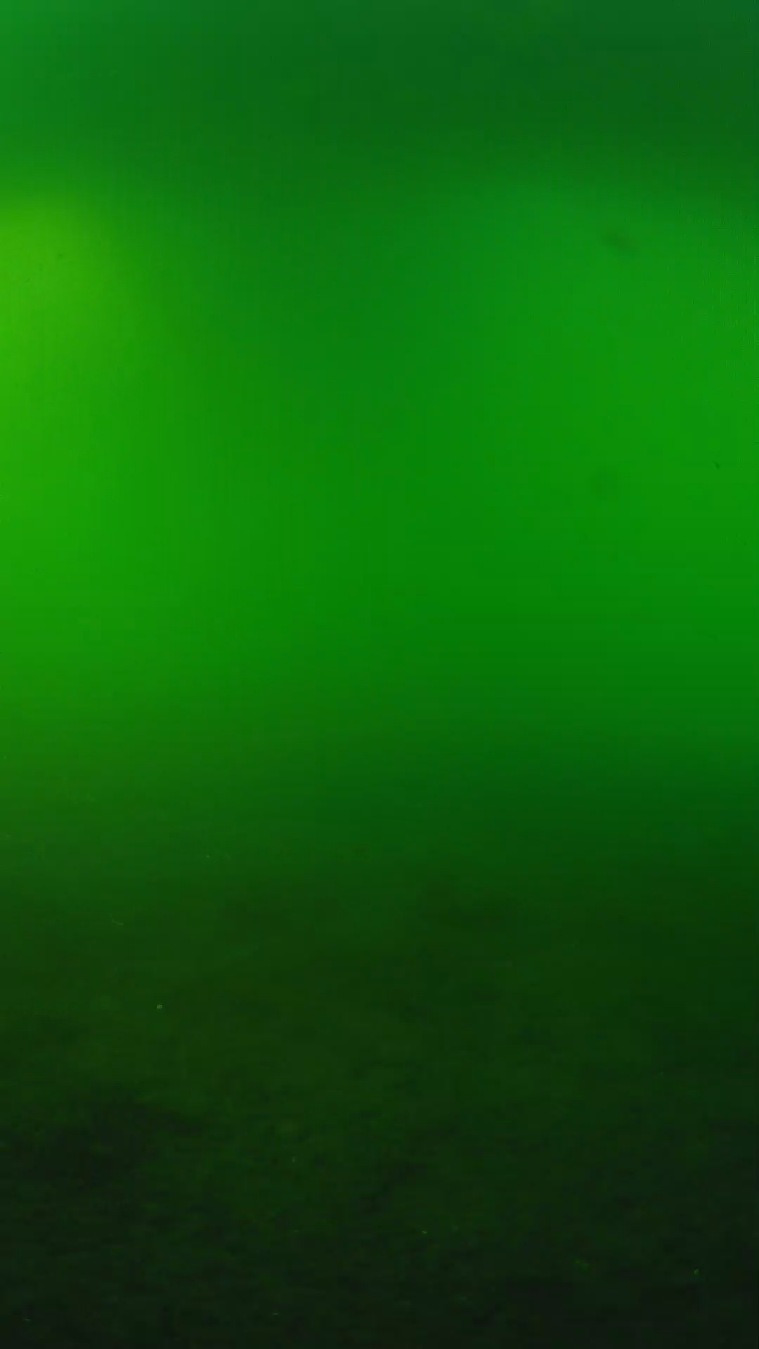 lander_ipcam_20240620180558.png