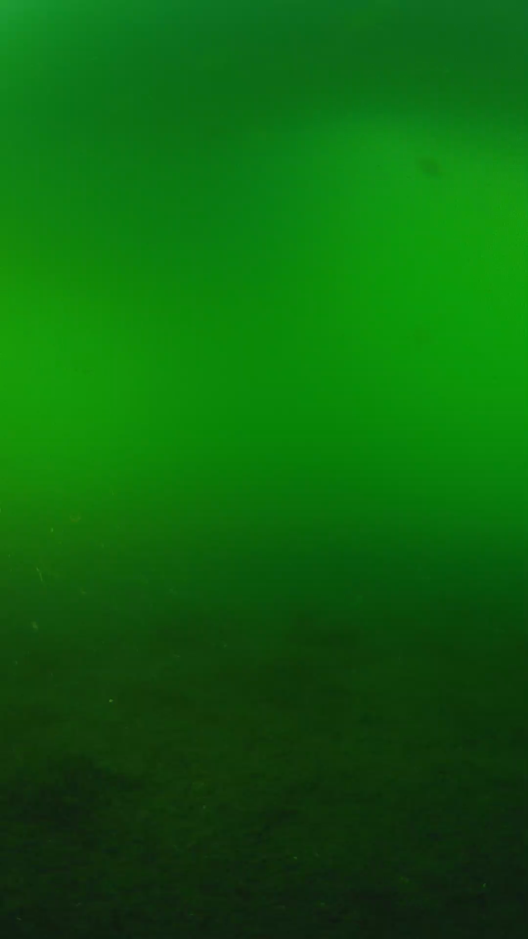 lander_ipcam_20240620180605.png