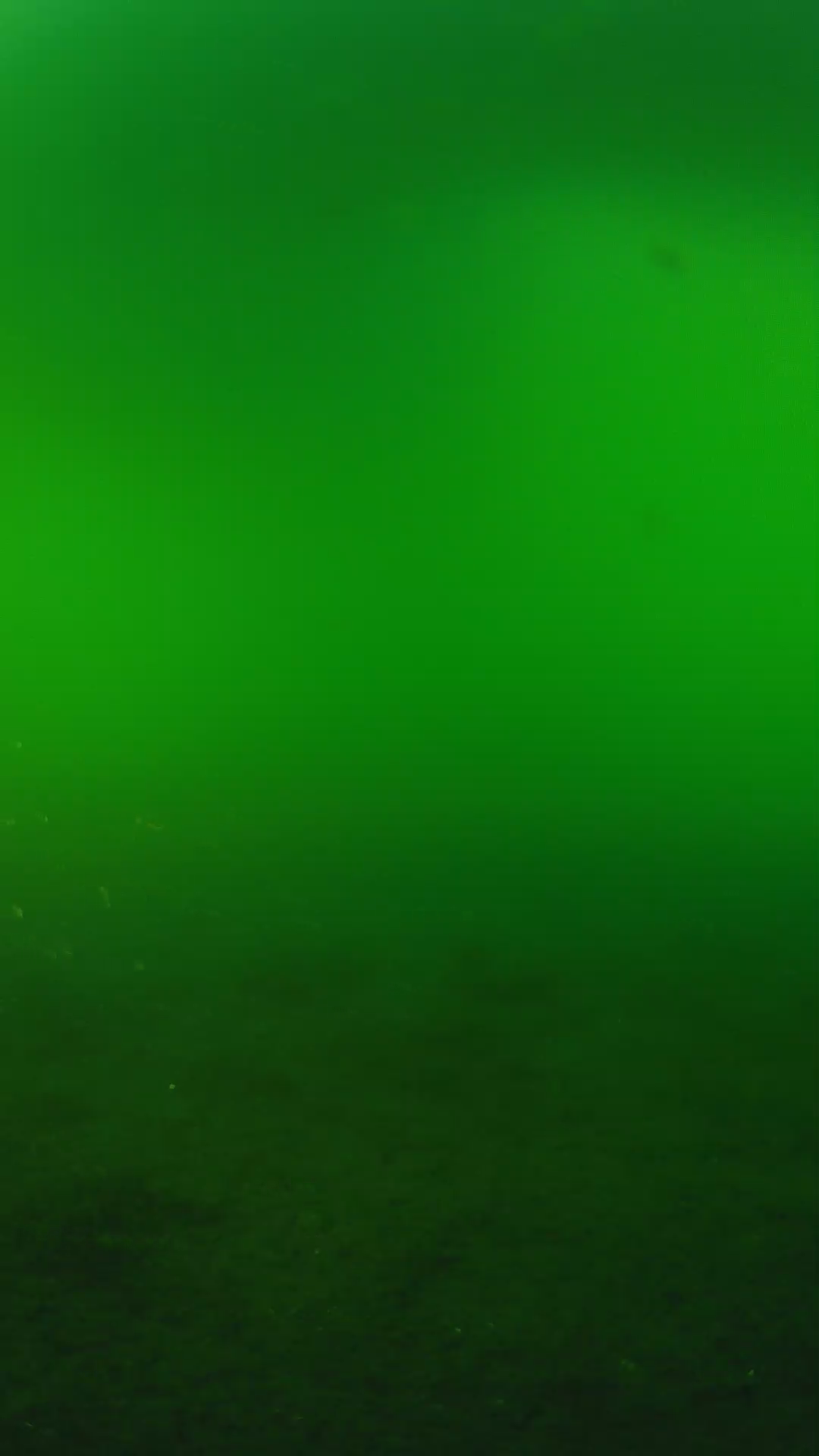 lander_ipcam_20240620180607.png