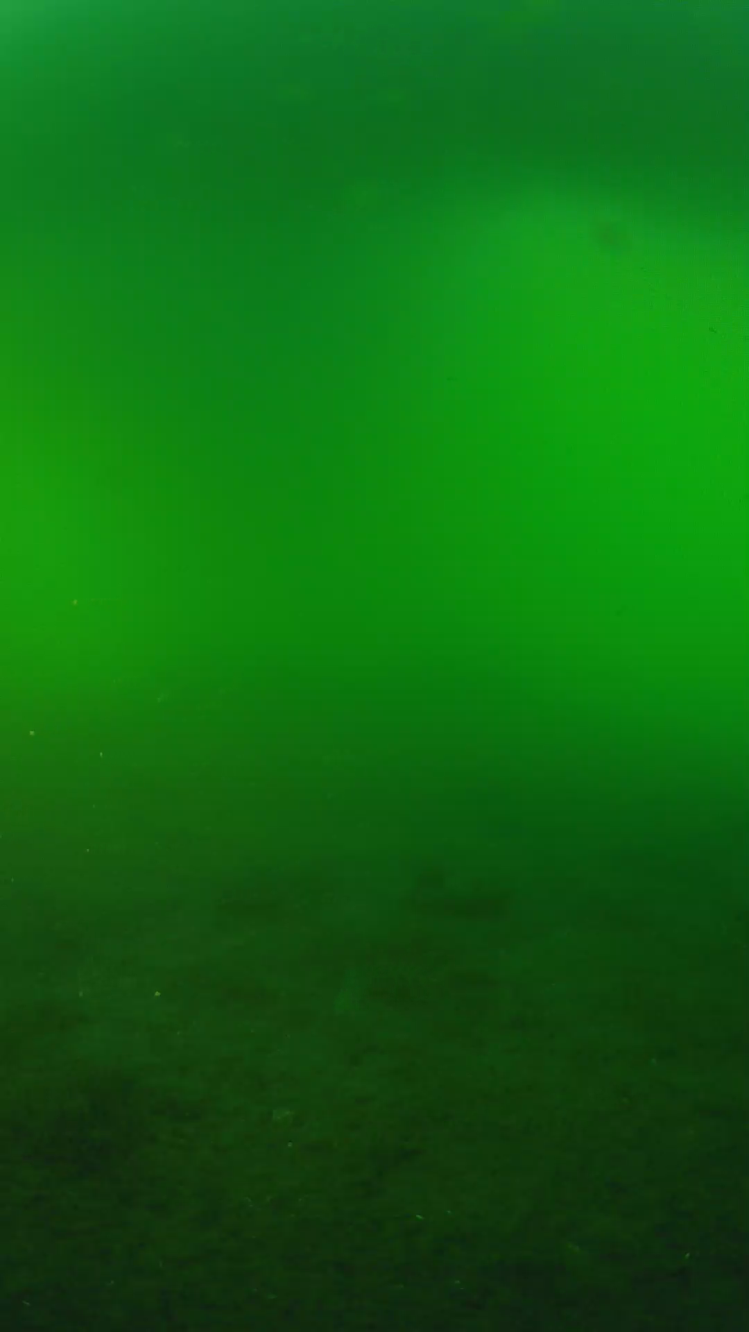 lander_ipcam_20240620183555.png
