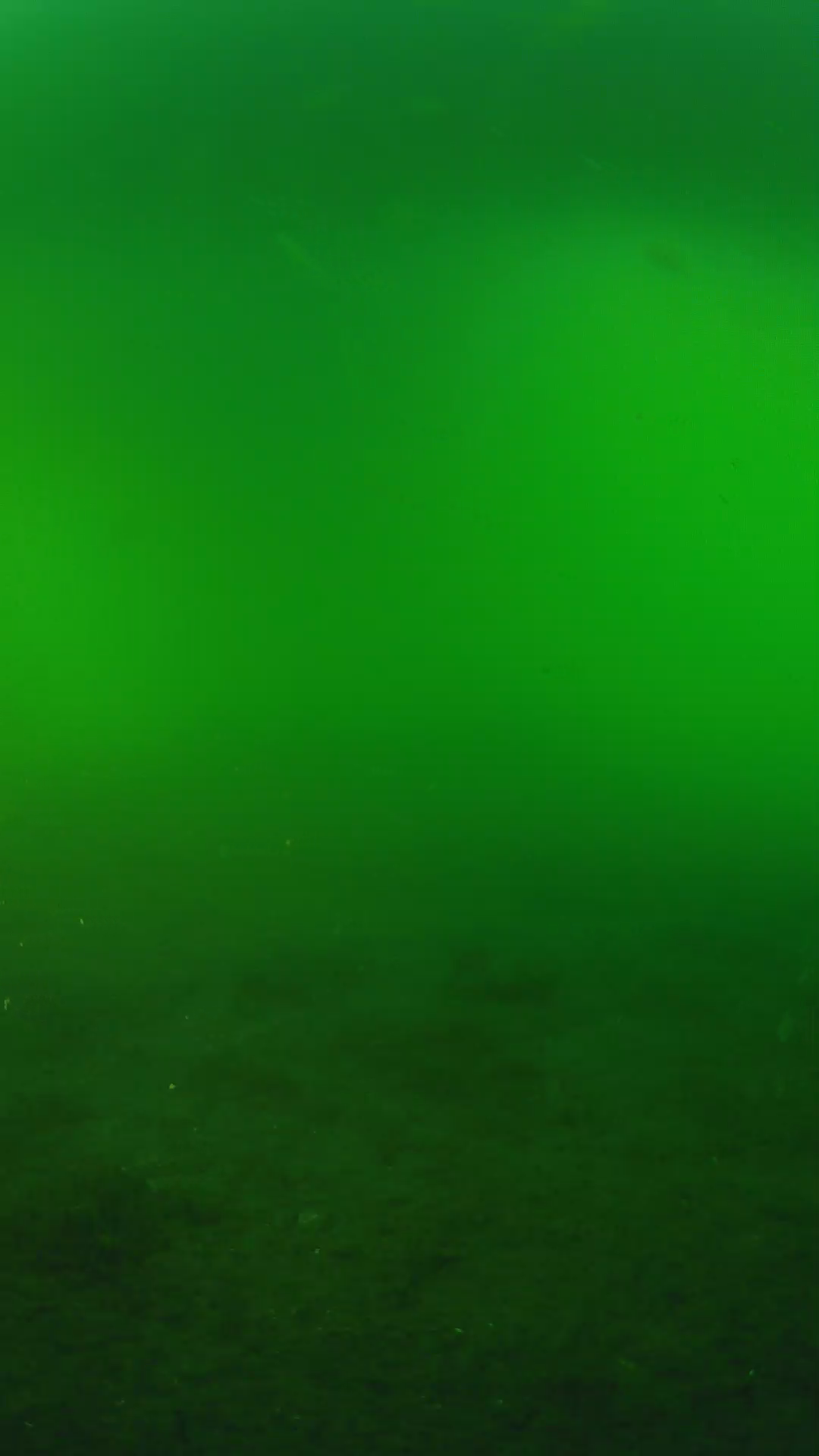 lander_ipcam_20240620183605.png