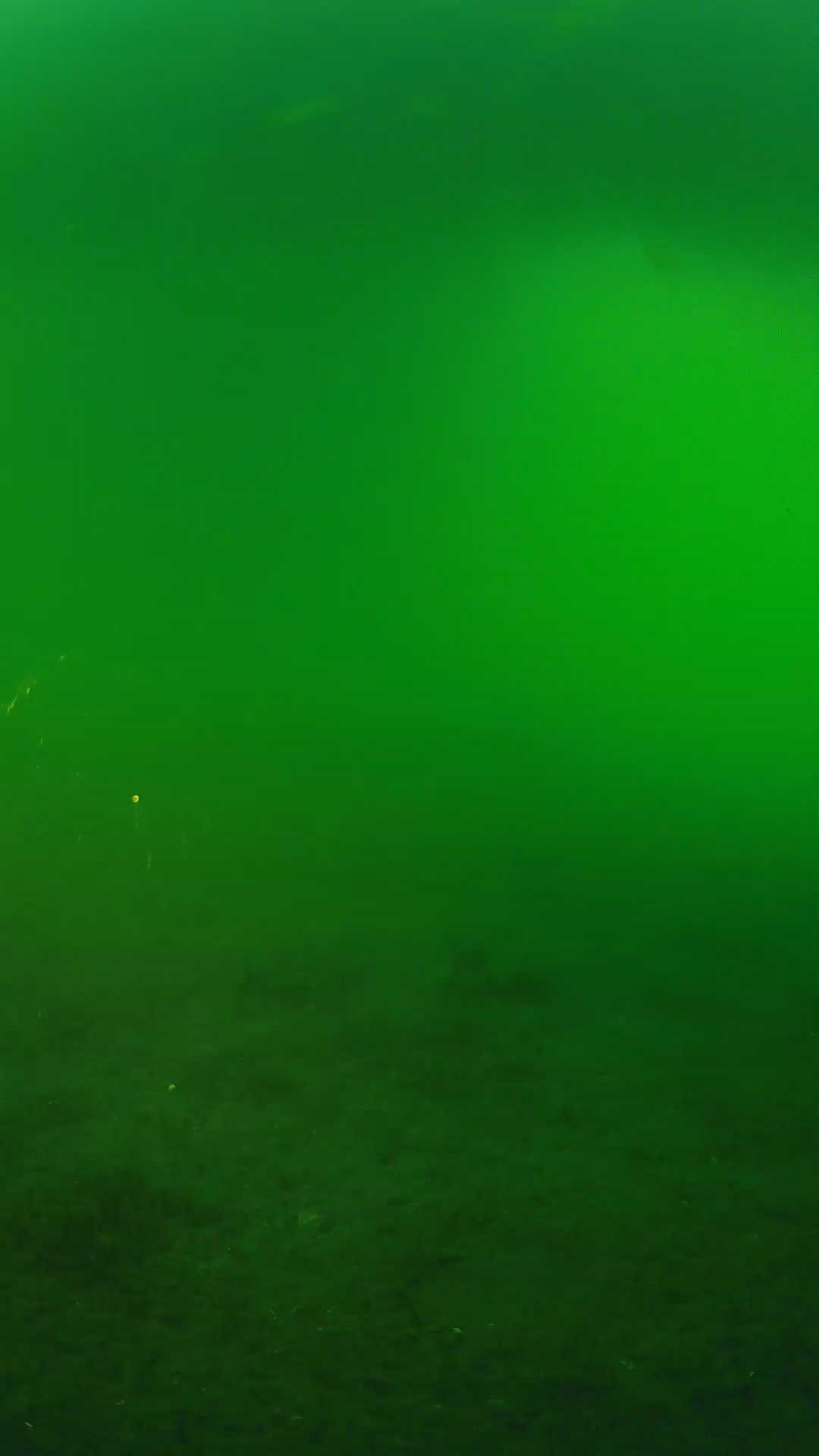 lander_ipcam_20240620190538.png