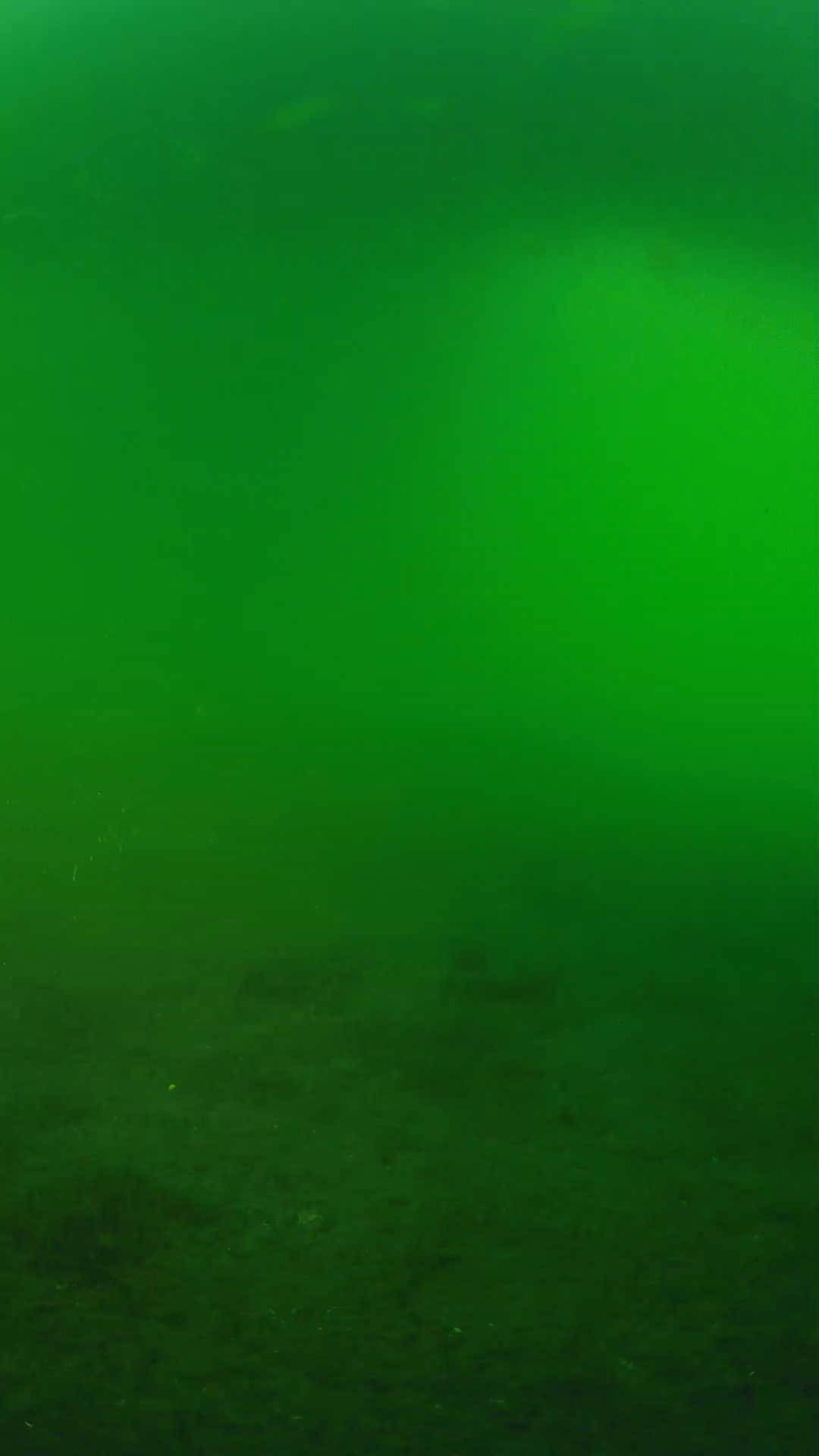 lander_ipcam_20240620190539.png