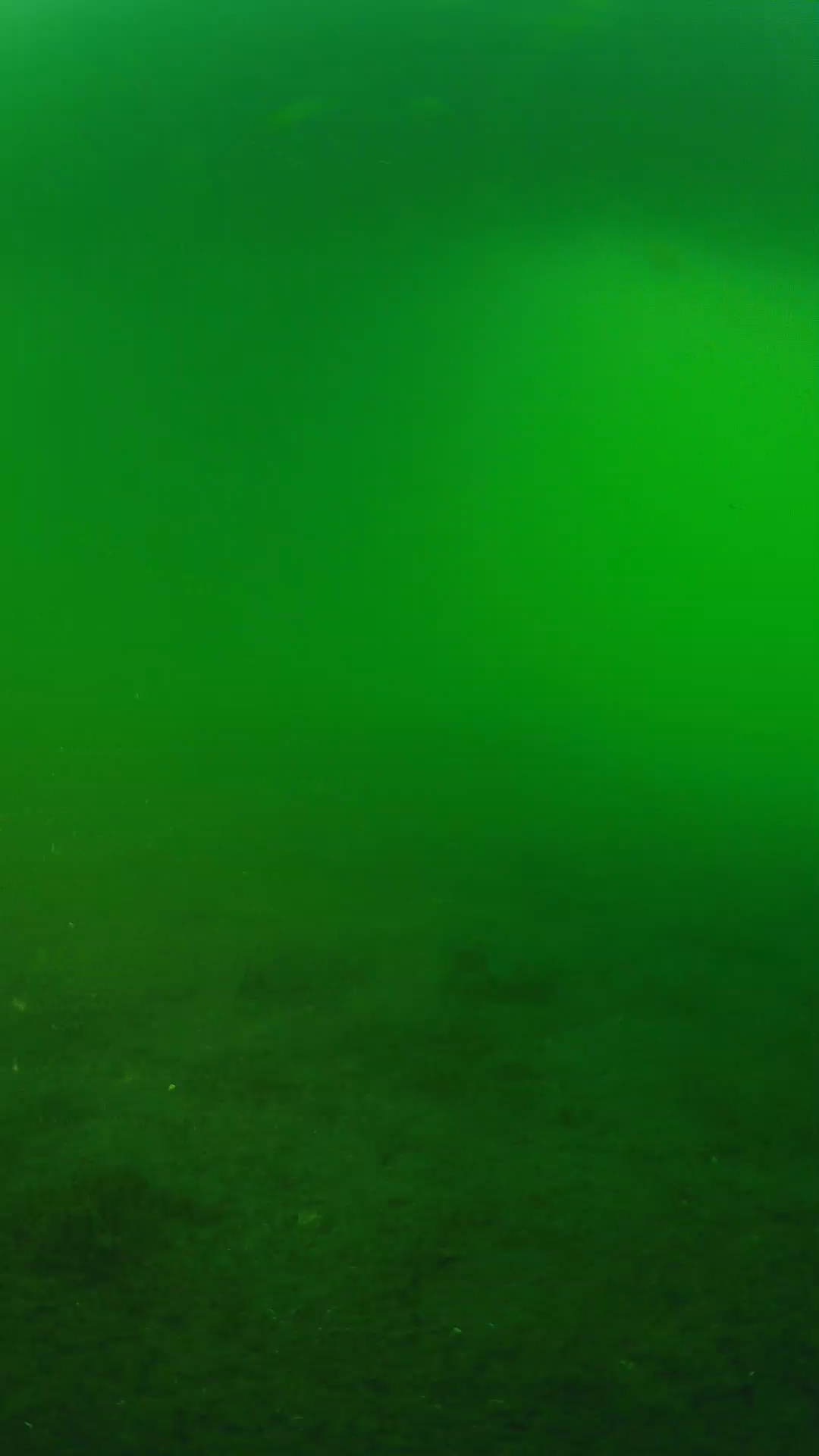 lander_ipcam_20240620190540.png