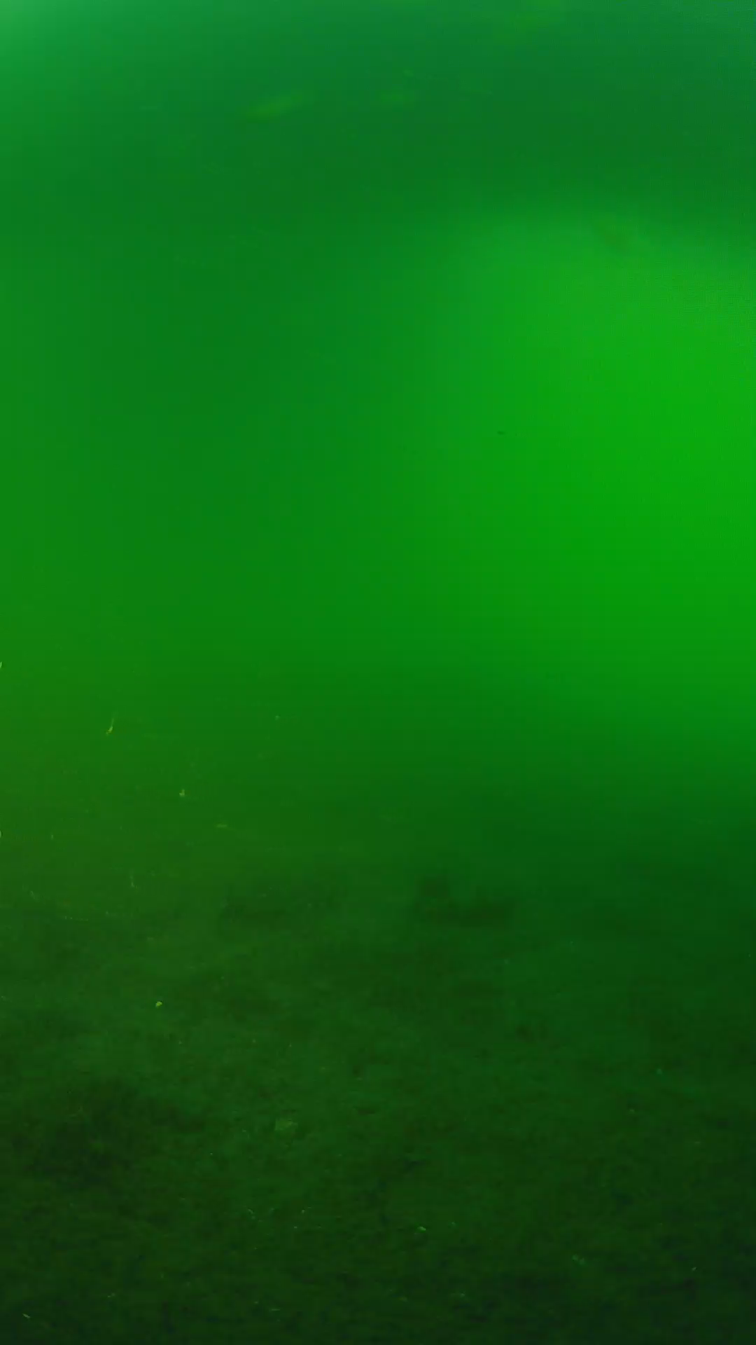 lander_ipcam_20240620190542.png
