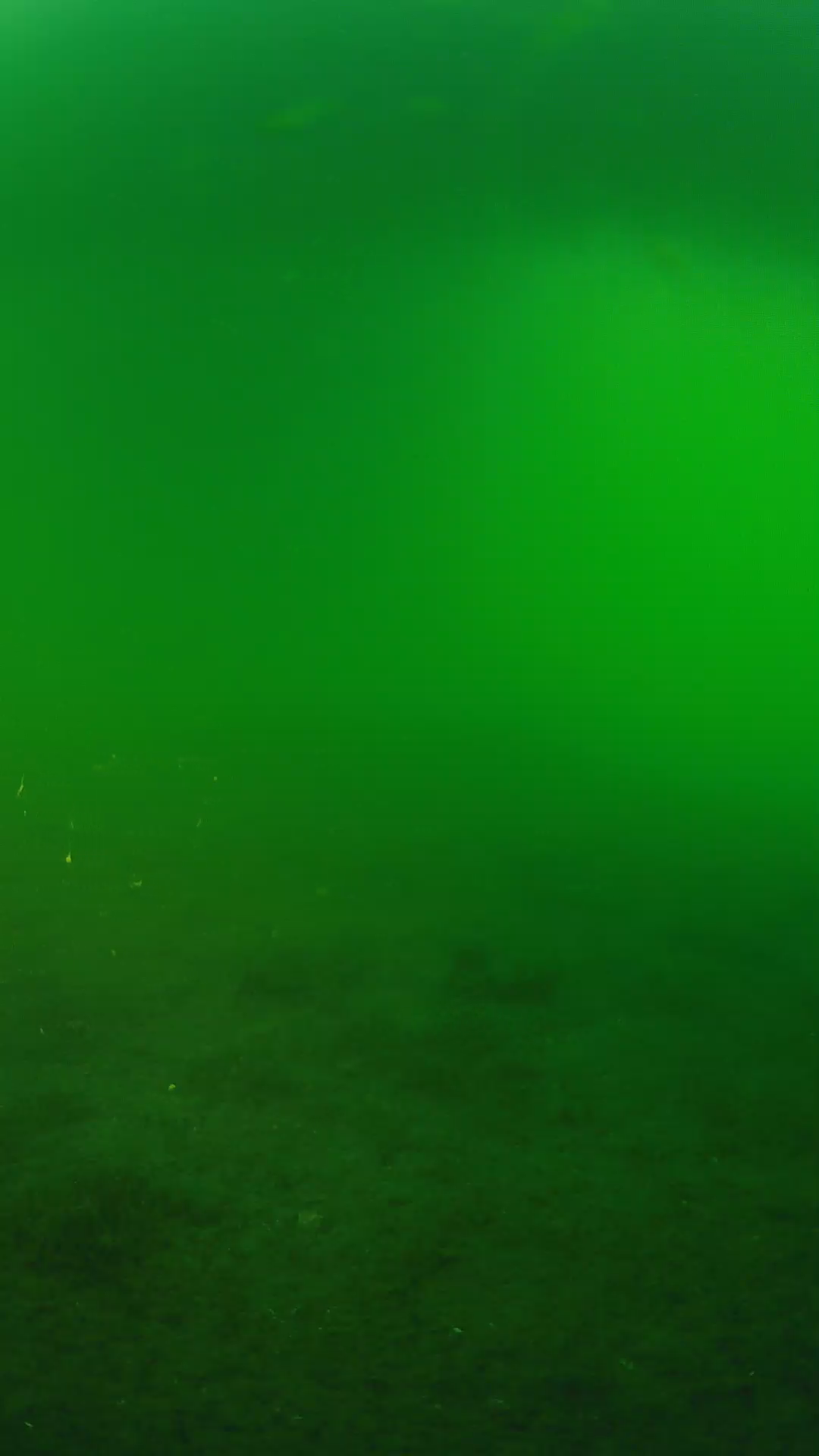 lander_ipcam_20240620190544.png