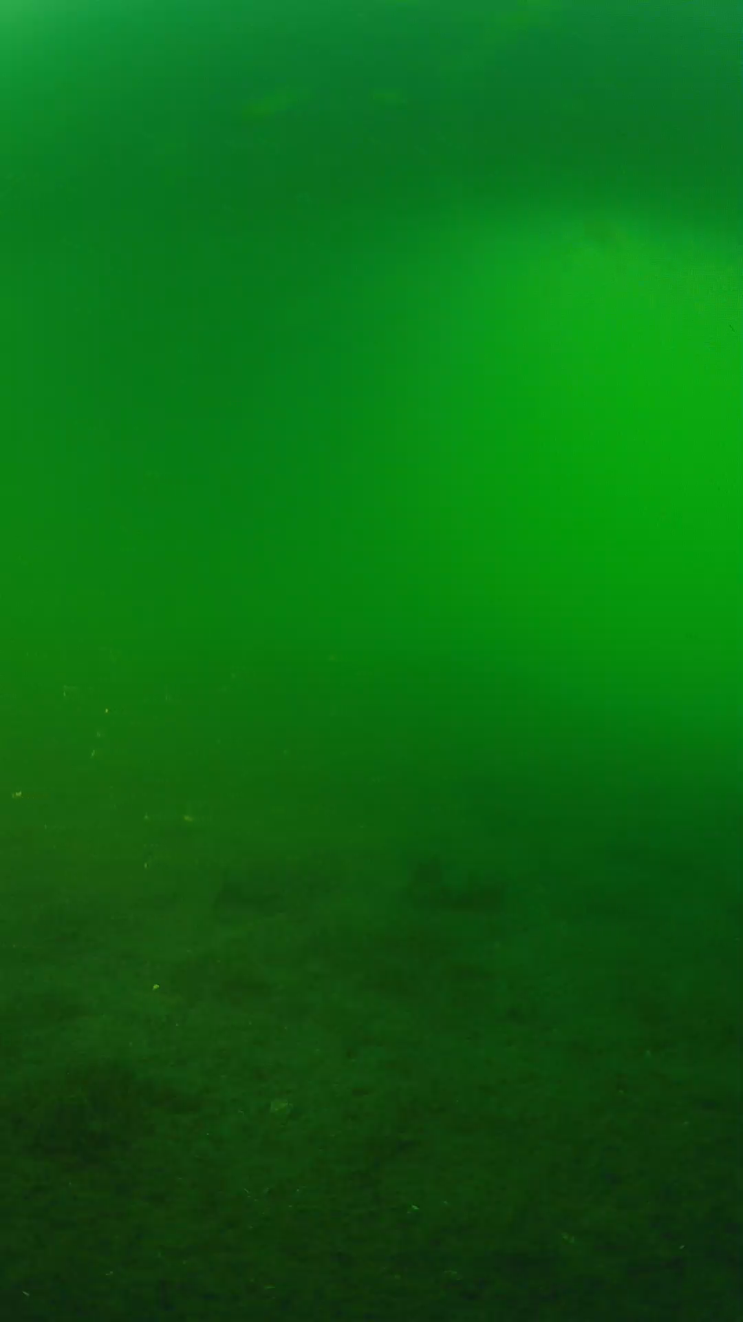 lander_ipcam_20240620190546.png