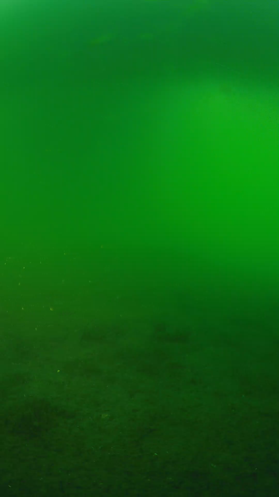 lander_ipcam_20240620190547.png