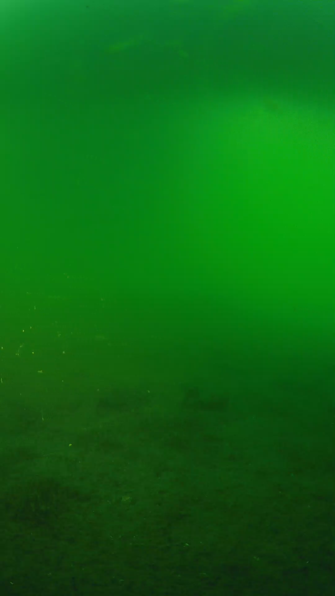 lander_ipcam_20240620190553.png