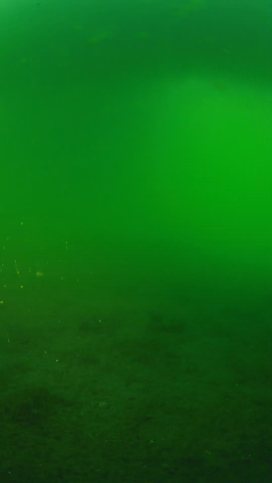 lander_ipcam_20240620190554.png