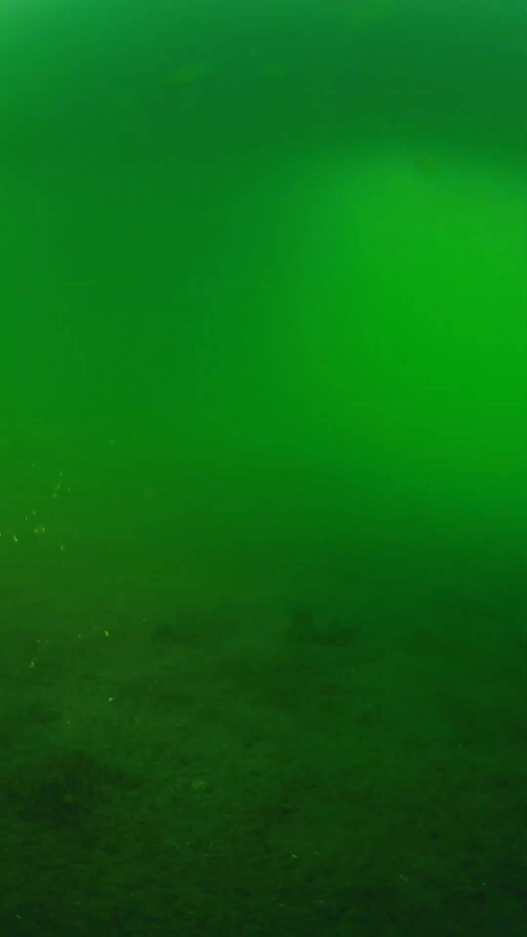 lander_ipcam_20240620190556.png