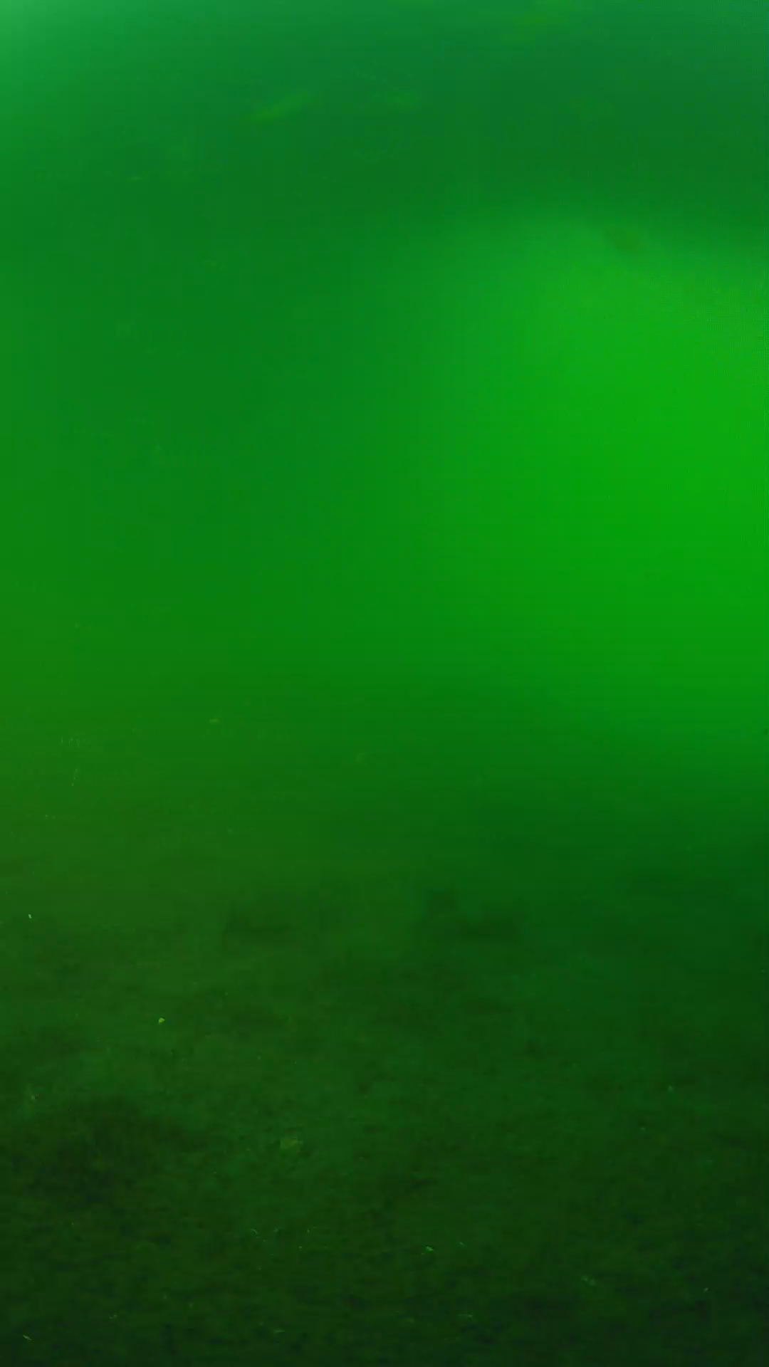 lander_ipcam_20240620190559.png