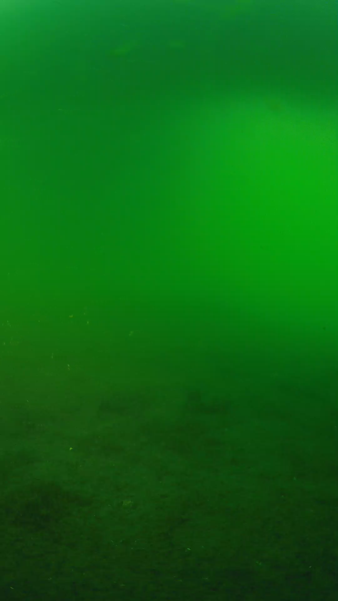 lander_ipcam_20240620190600.png