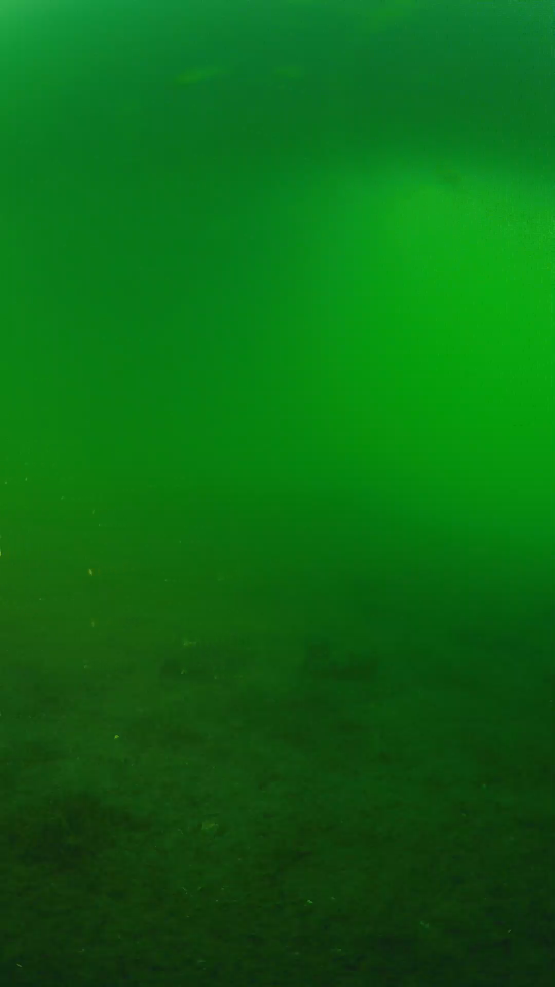 lander_ipcam_20240620190603.png