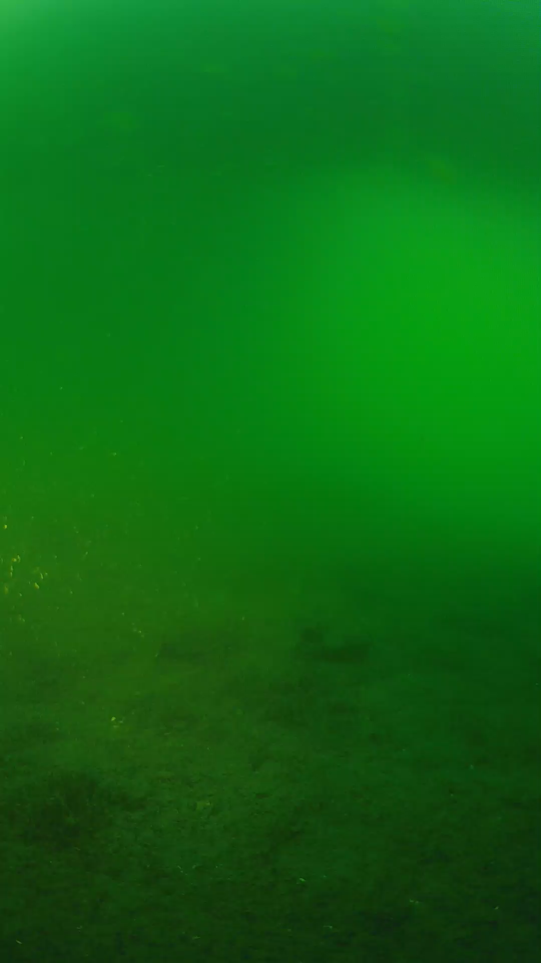 lander_ipcam_20240620193538.png
