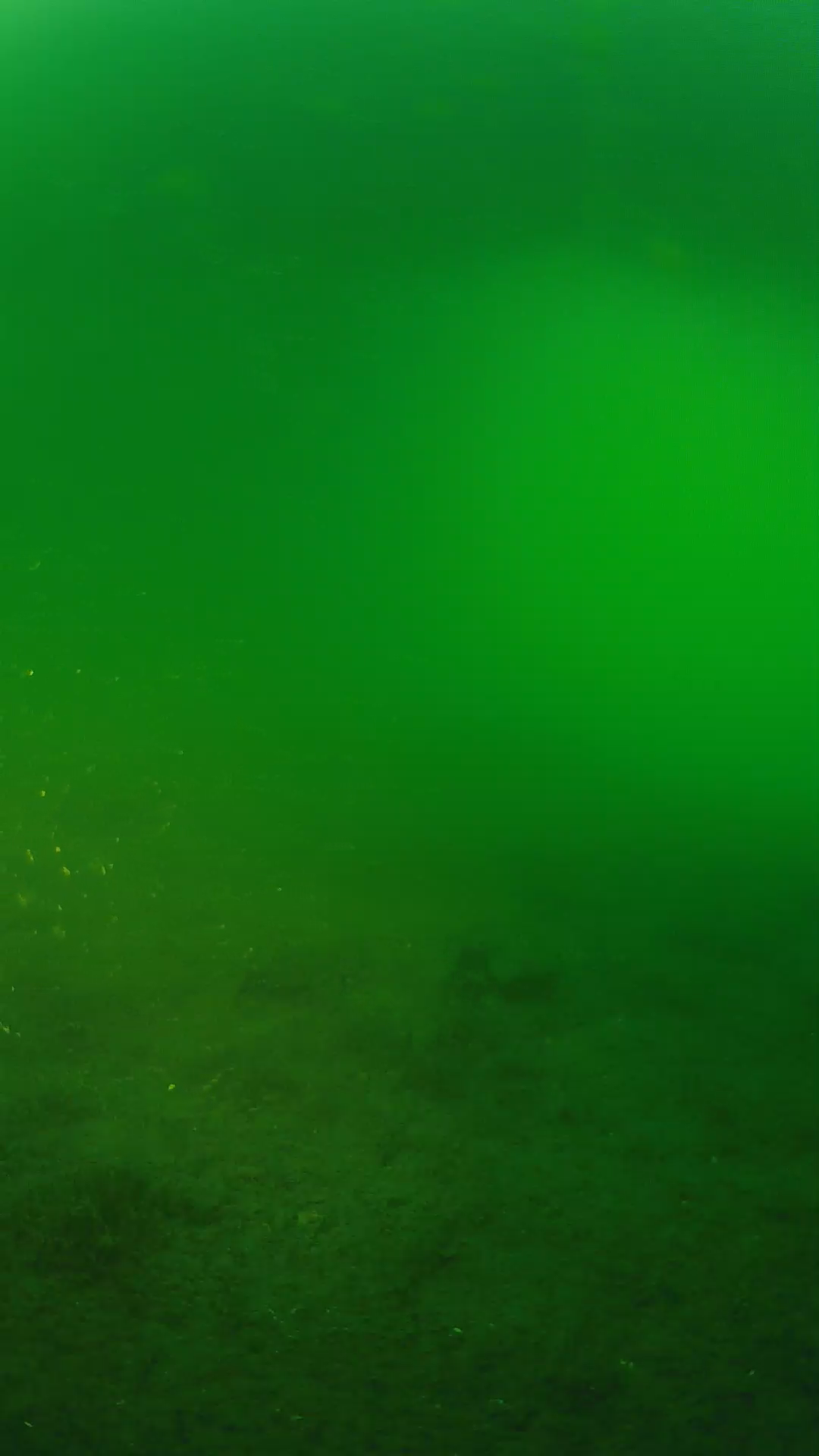 lander_ipcam_20240620193539.png
