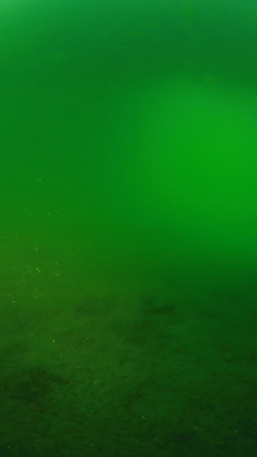 lander_ipcam_20240620193540.png
