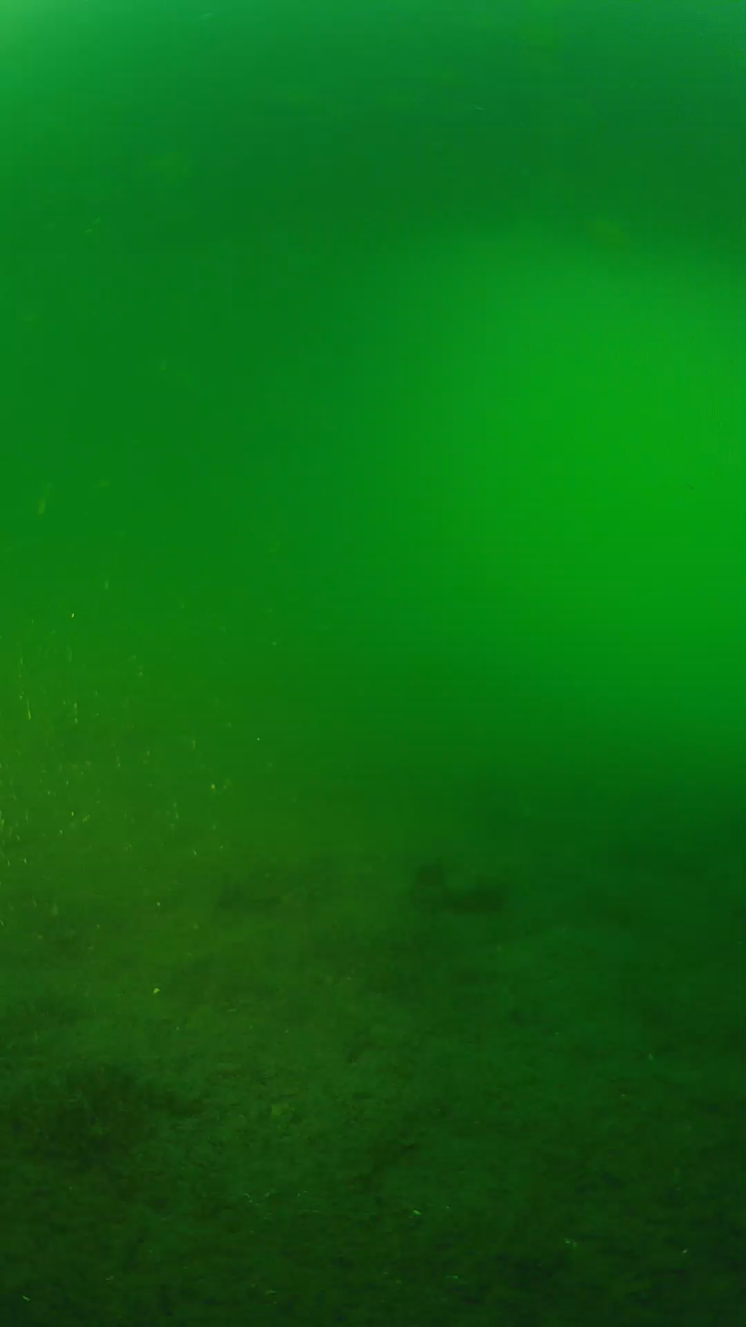 lander_ipcam_20240620193542.png