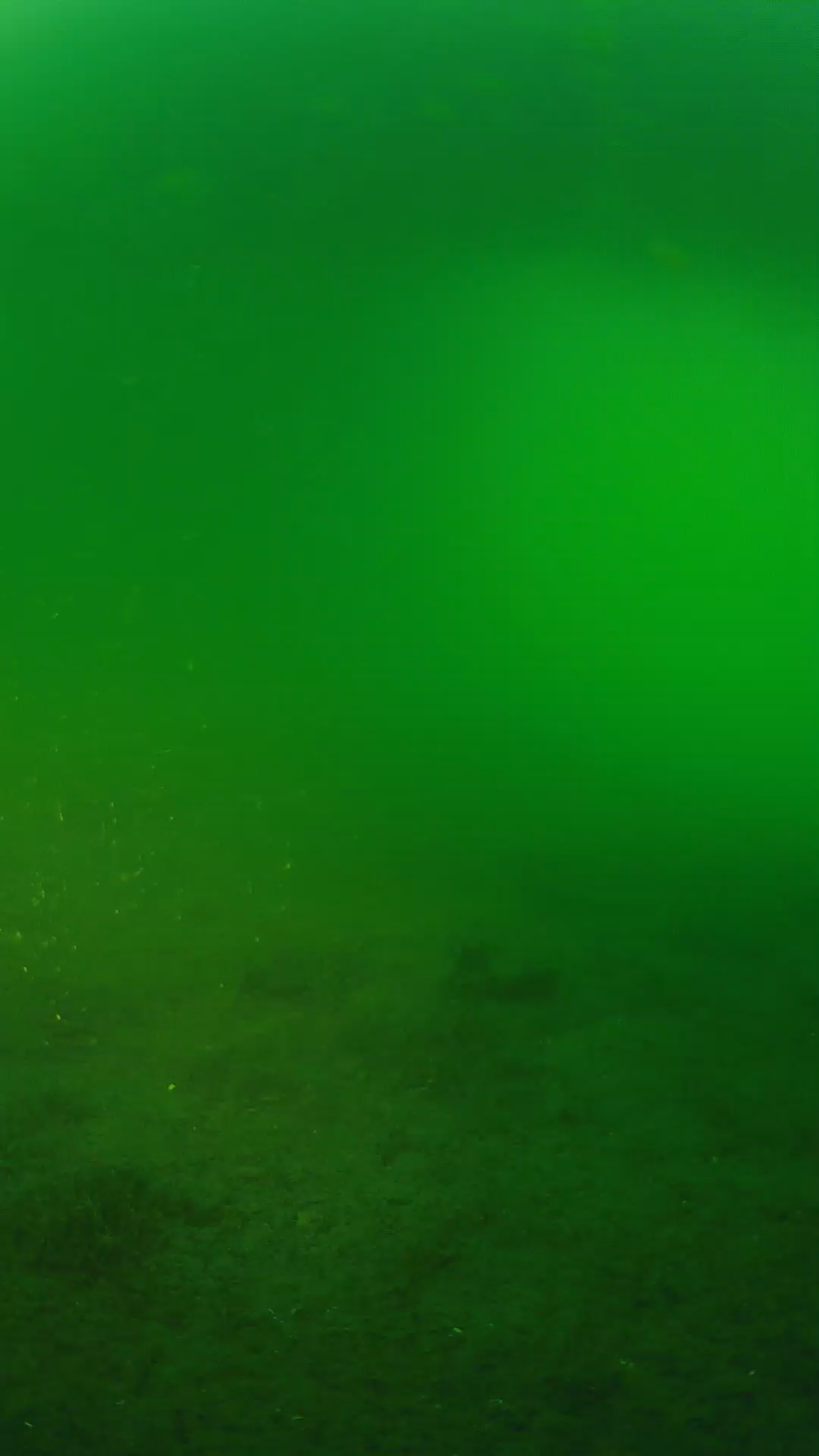 lander_ipcam_20240620193544.png
