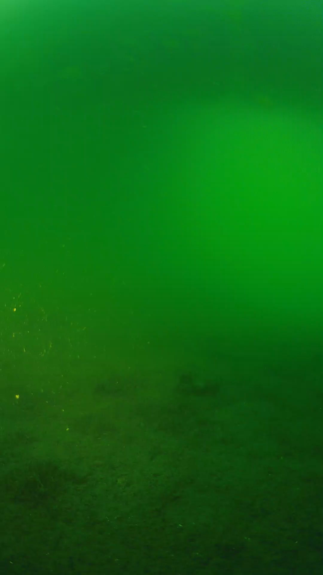 lander_ipcam_20240620193547.png