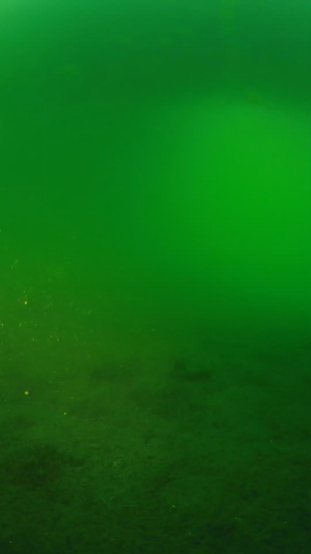 lander_ipcam_20240620193548.png