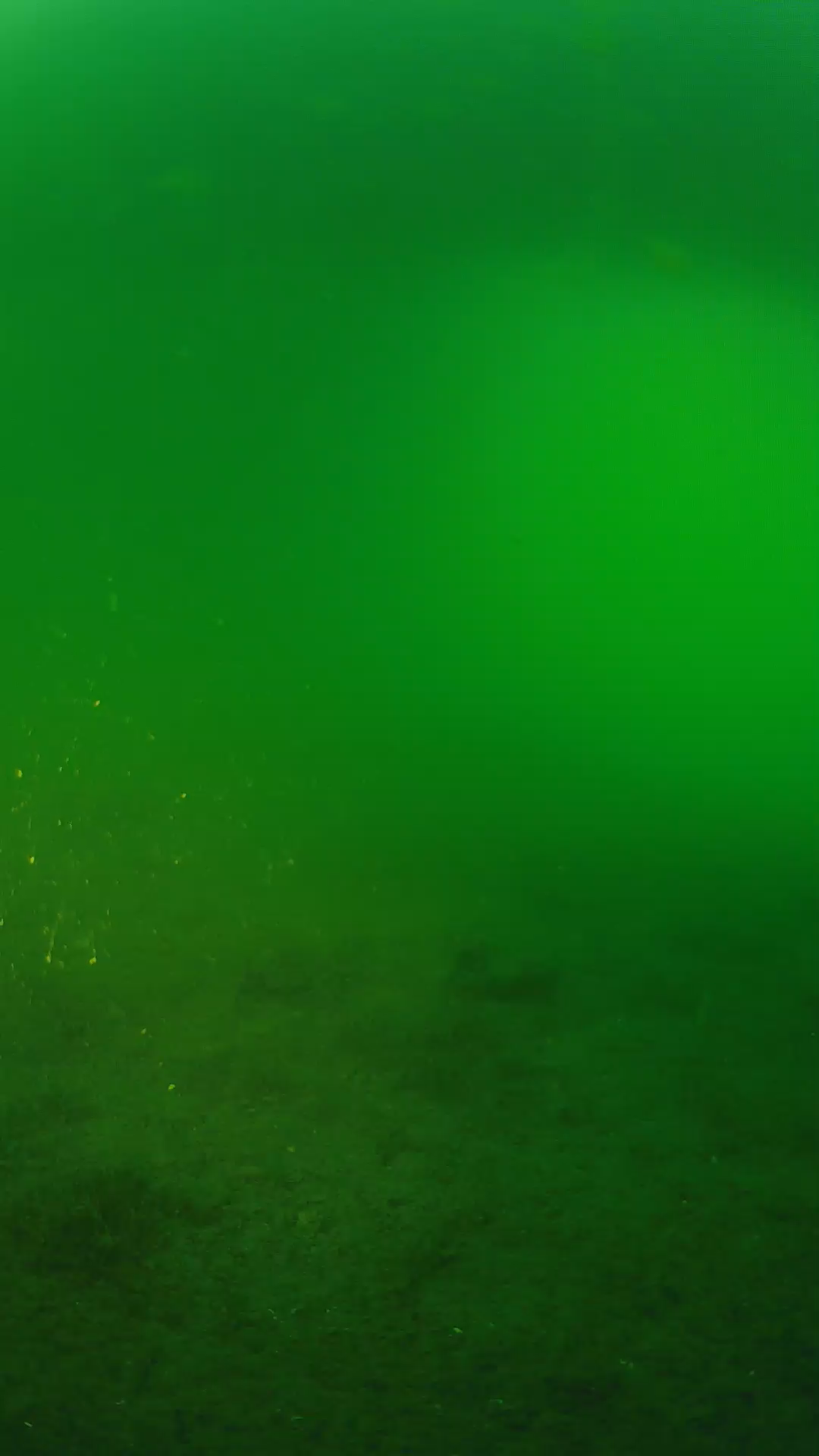 lander_ipcam_20240620193552.png