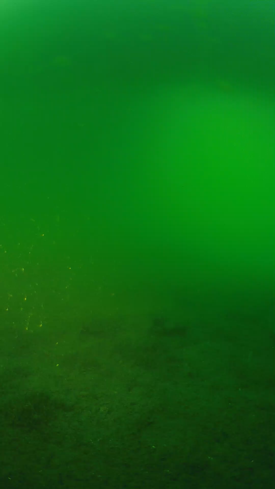 lander_ipcam_20240620193553.png