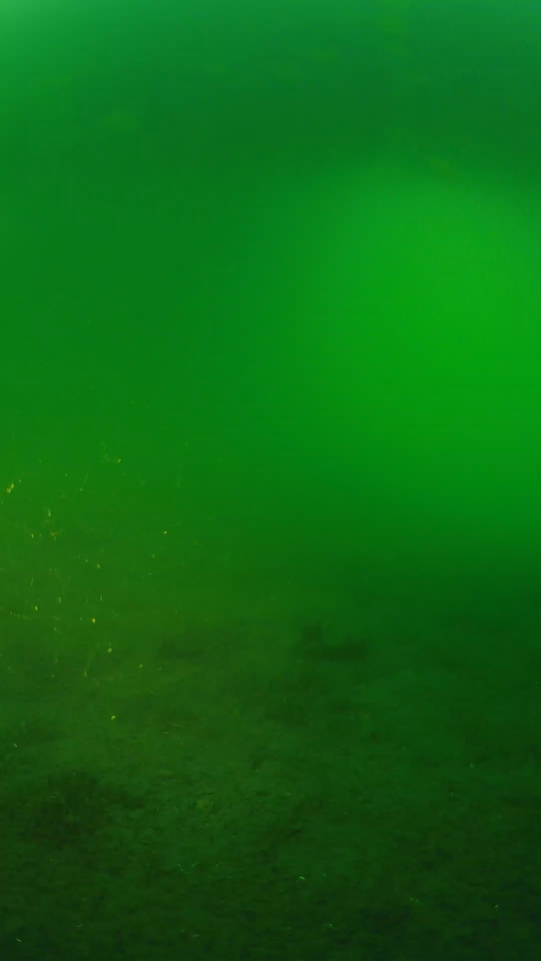 lander_ipcam_20240620193555.png