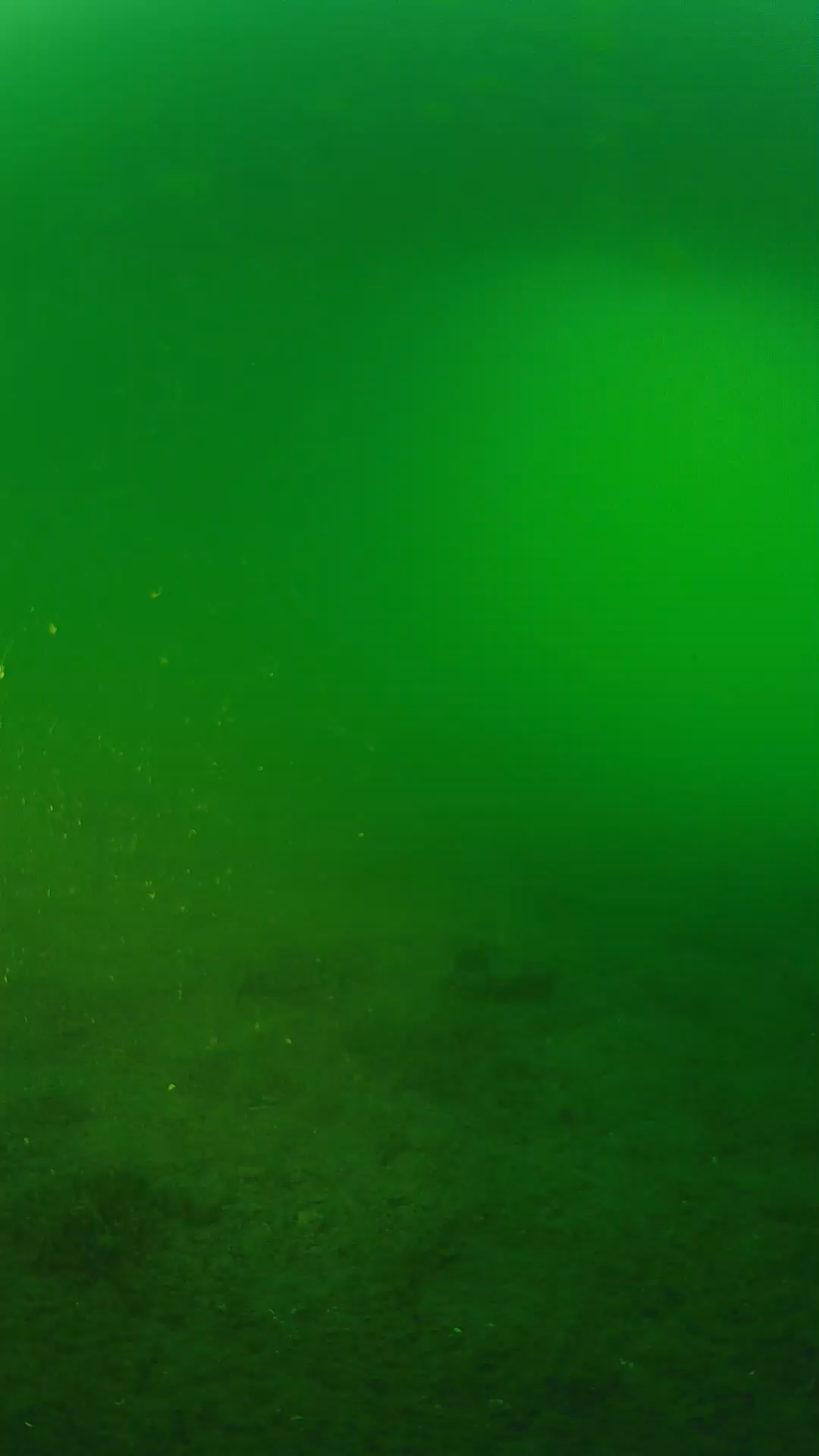 lander_ipcam_20240620193601.png
