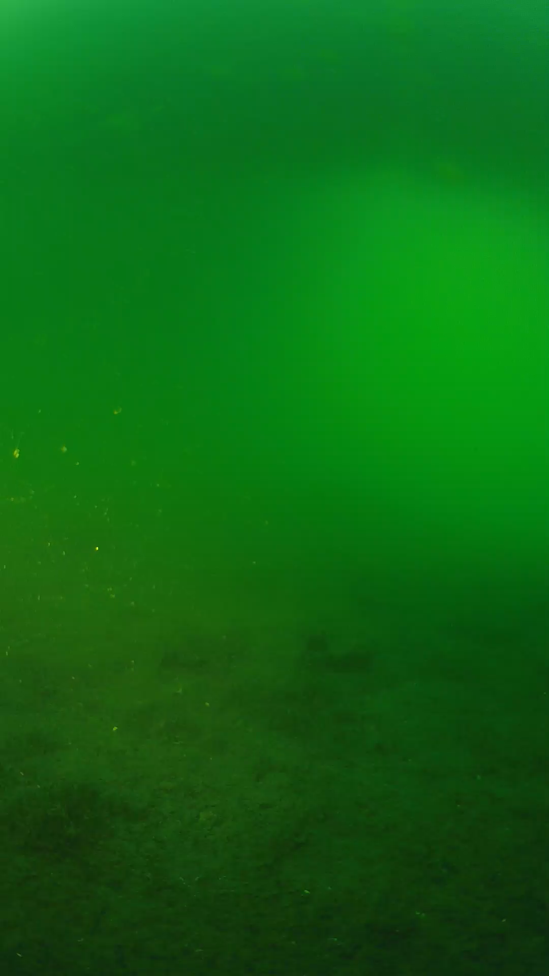 lander_ipcam_20240620193602.png
