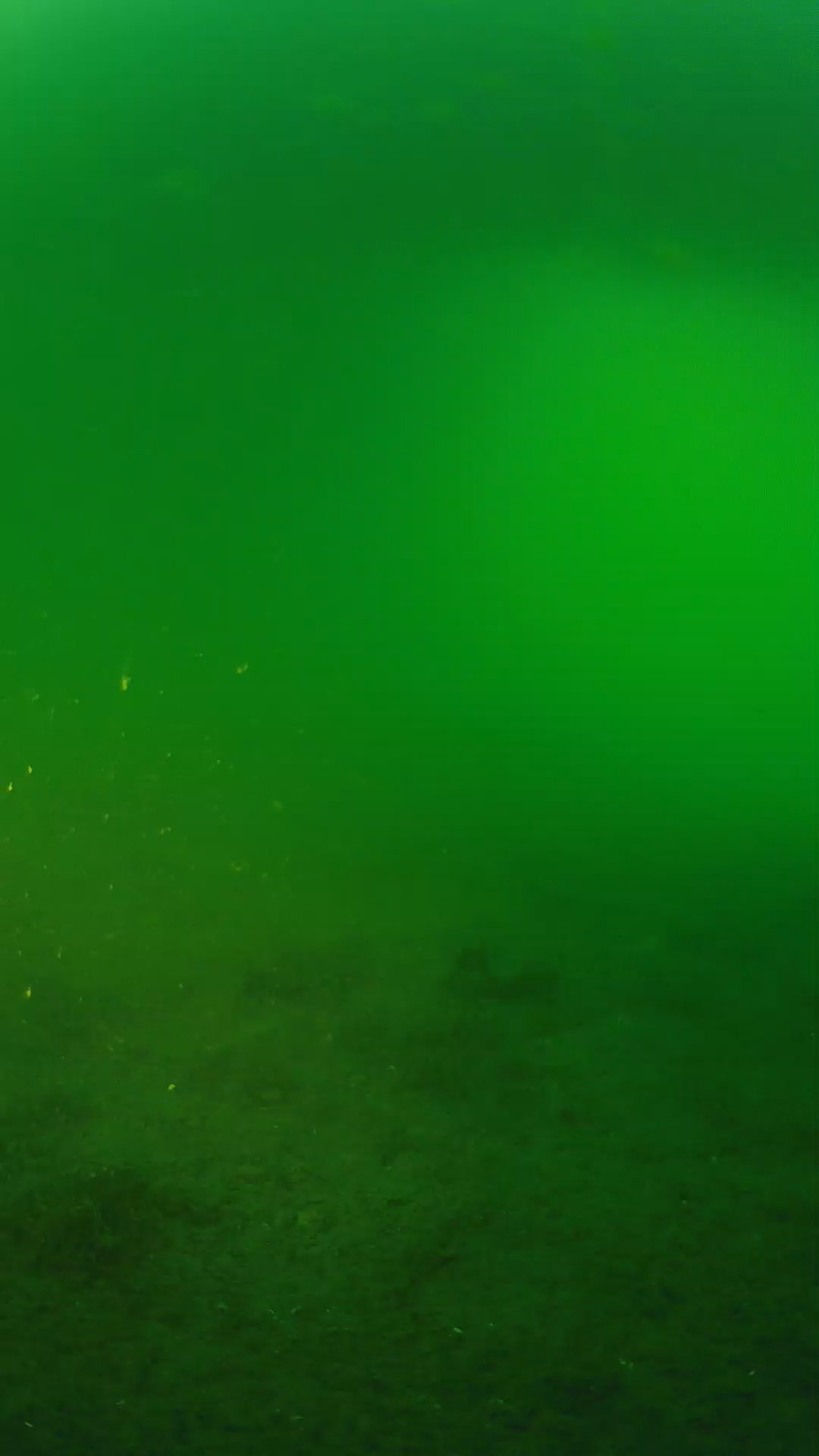 lander_ipcam_20240620193605.png