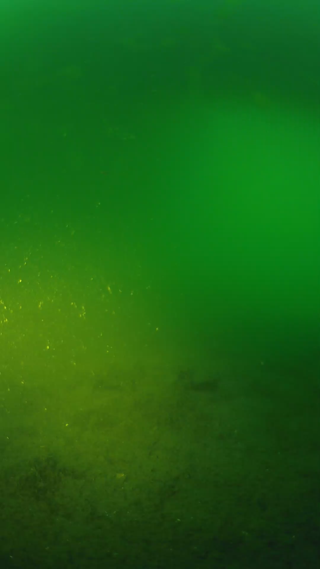 lander_ipcam_20240620200540.png