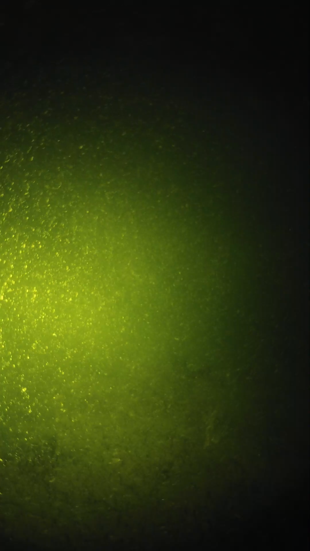 lander_ipcam_20240620203540.png